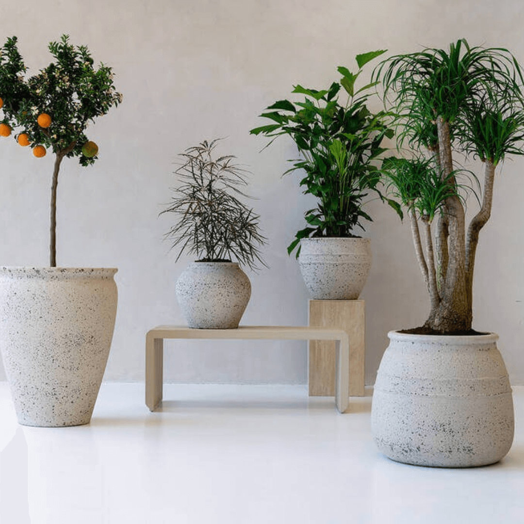 Athena Ficonstone Large Plant Pots, Chalk White, Indoor & Outdoor Plant Pot, 29cm - 41cm