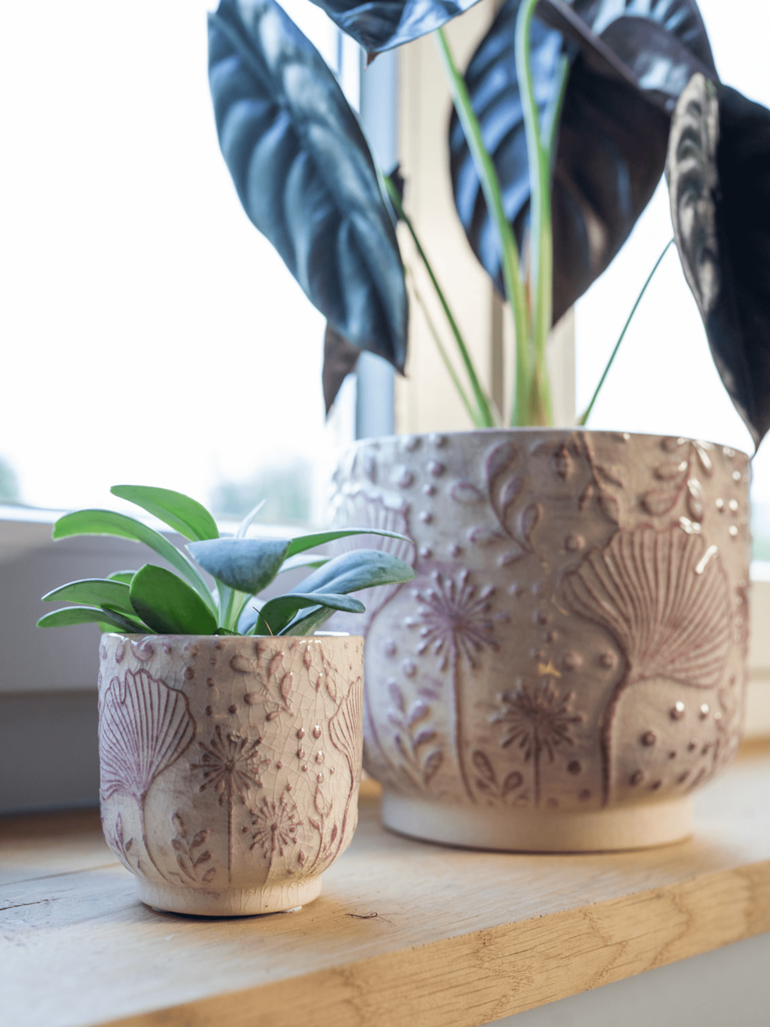 Emilia Ceramic Plant Pots, Pink