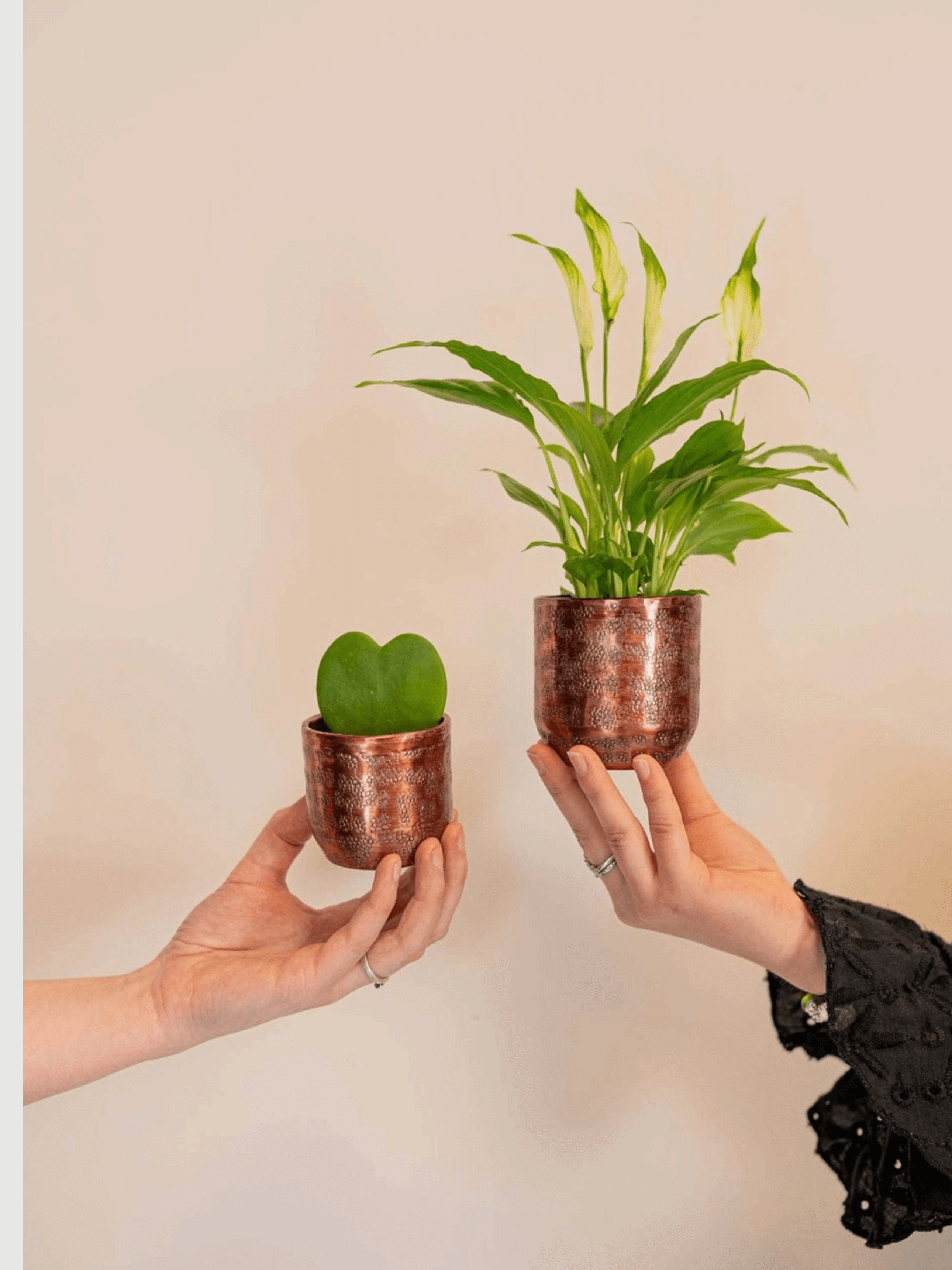 Ivan, Metal Plant Pots, Copper, 7cm - 8cm Small House Plant Pot