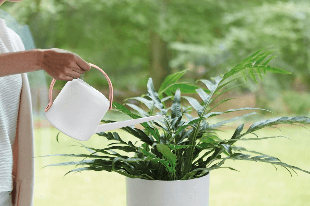 White Indoor Watering Can - Elho B.For Soft Watering Can - 1.7-litre