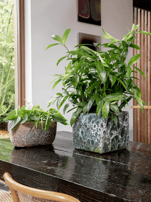 Lava Cube Relic Plant Pots, Jade, Square Plan Pot
