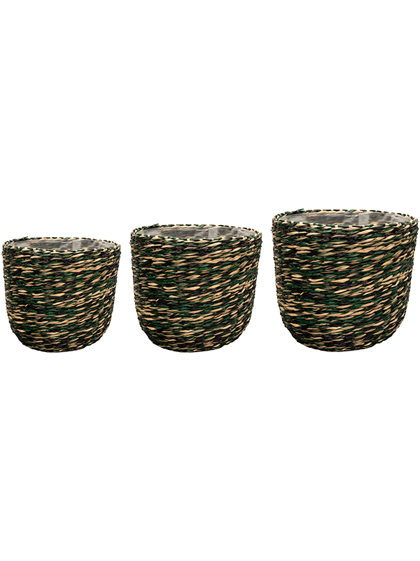 Indoor Plant Basket- Viviana Woven Plant Pot - Jungle Green