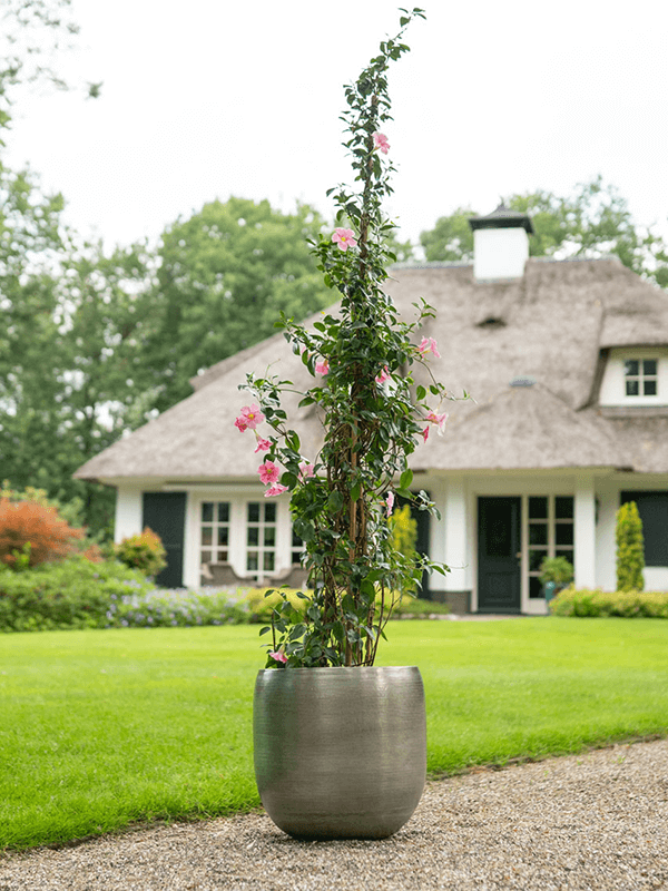 Large Plant Pot Rowen - New Green - Multiple Sizes - Indoor & Outdoor