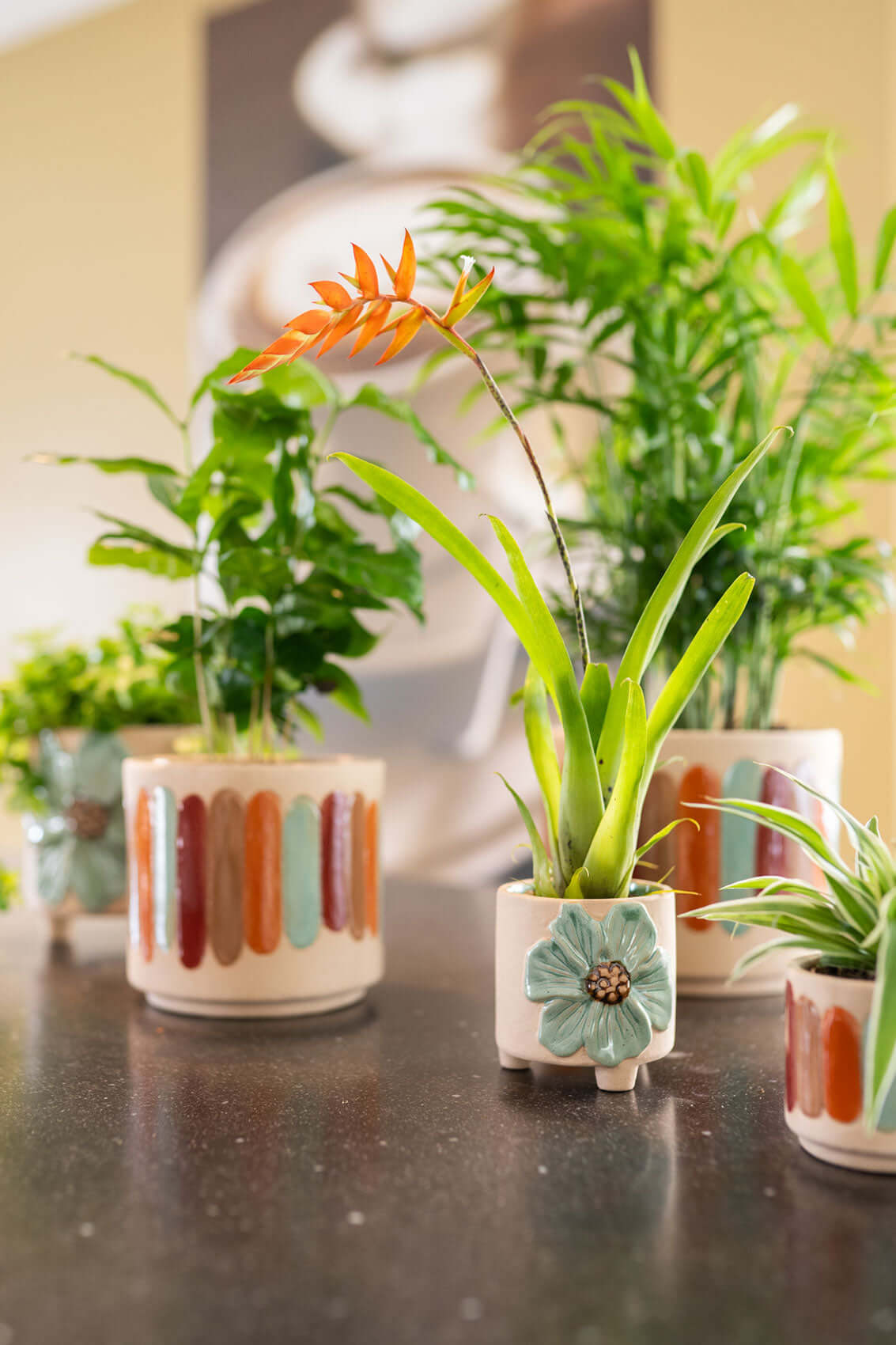 Anna Striped Ceramic Plant Pots, Indoor Plant Pots, in Multiple Sizes
