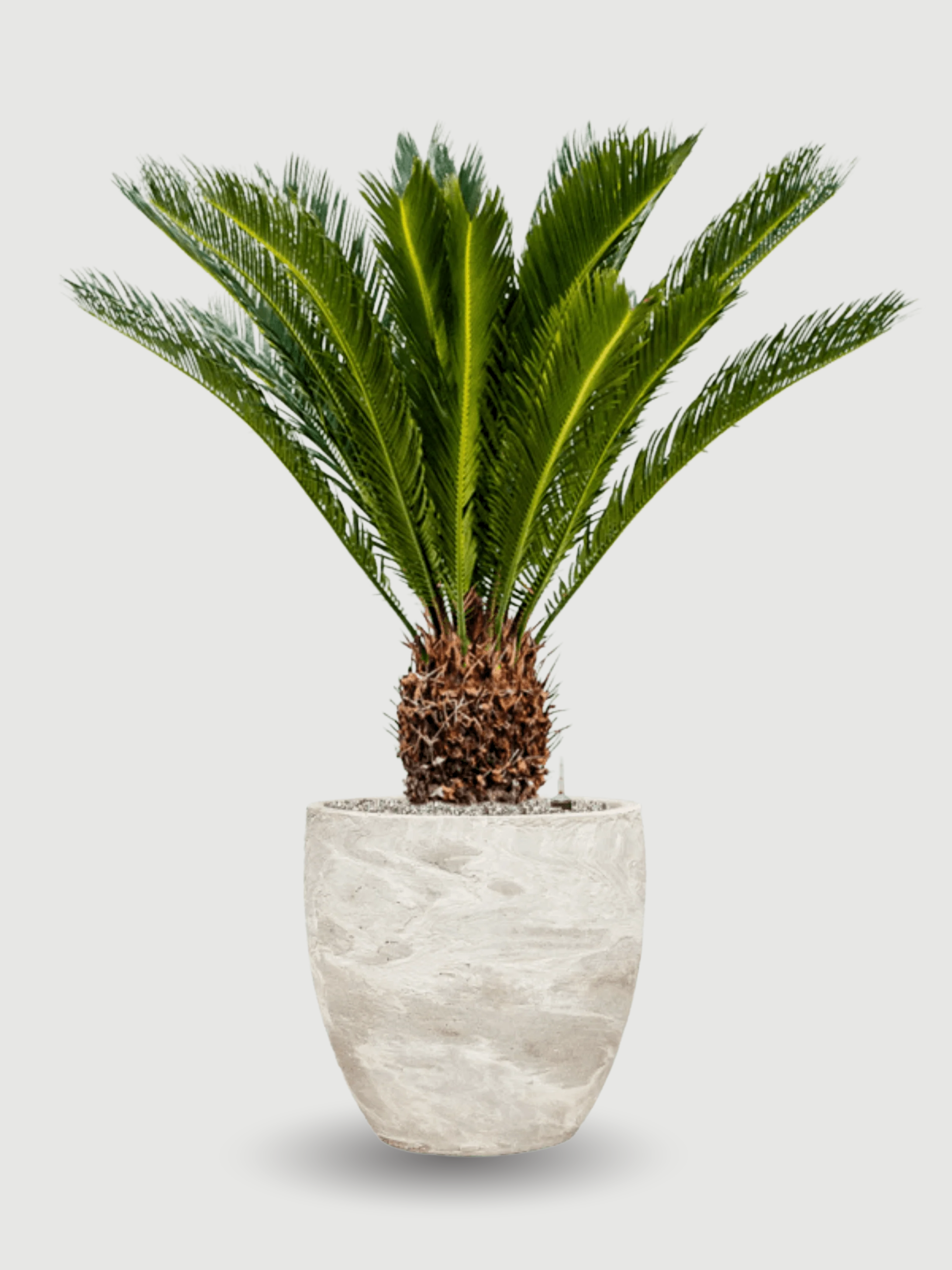 Algar_Plant_Pot_34cm_White_Indoor__Outdoor_Plant_Pot