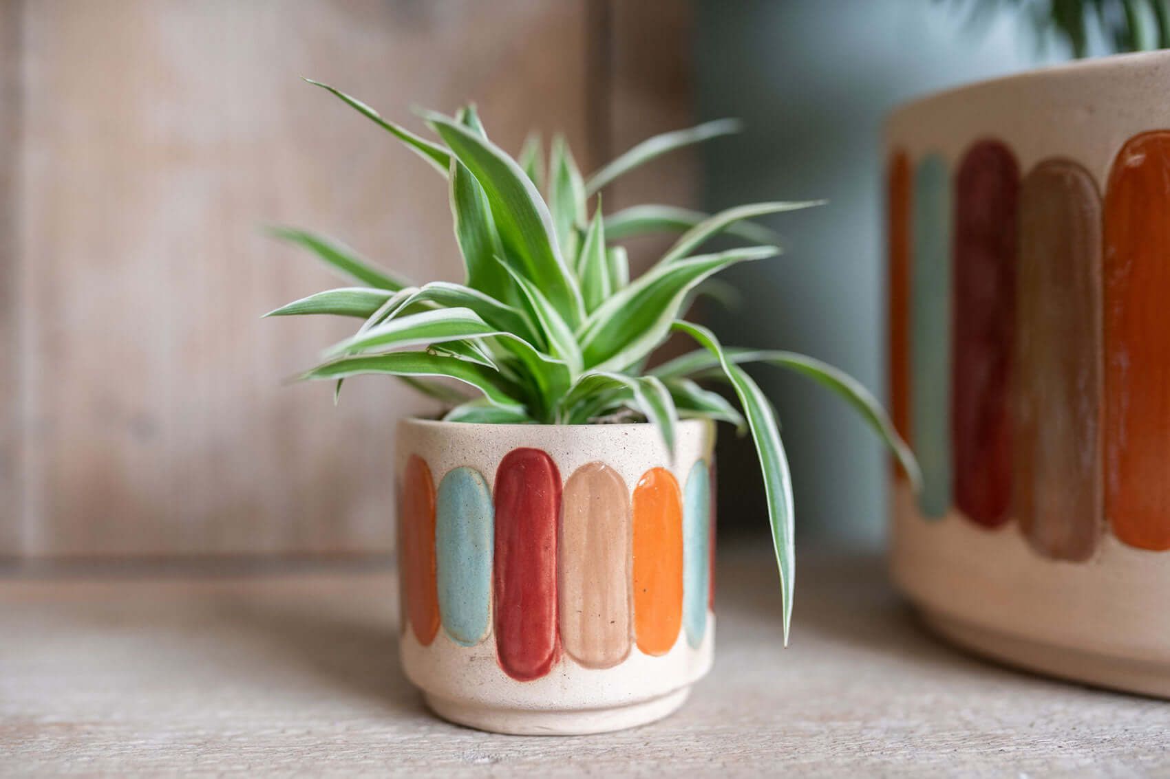 Anna Striped Ceramic Plant Pots, Indoor Plant Pots, in Multiple Sizes