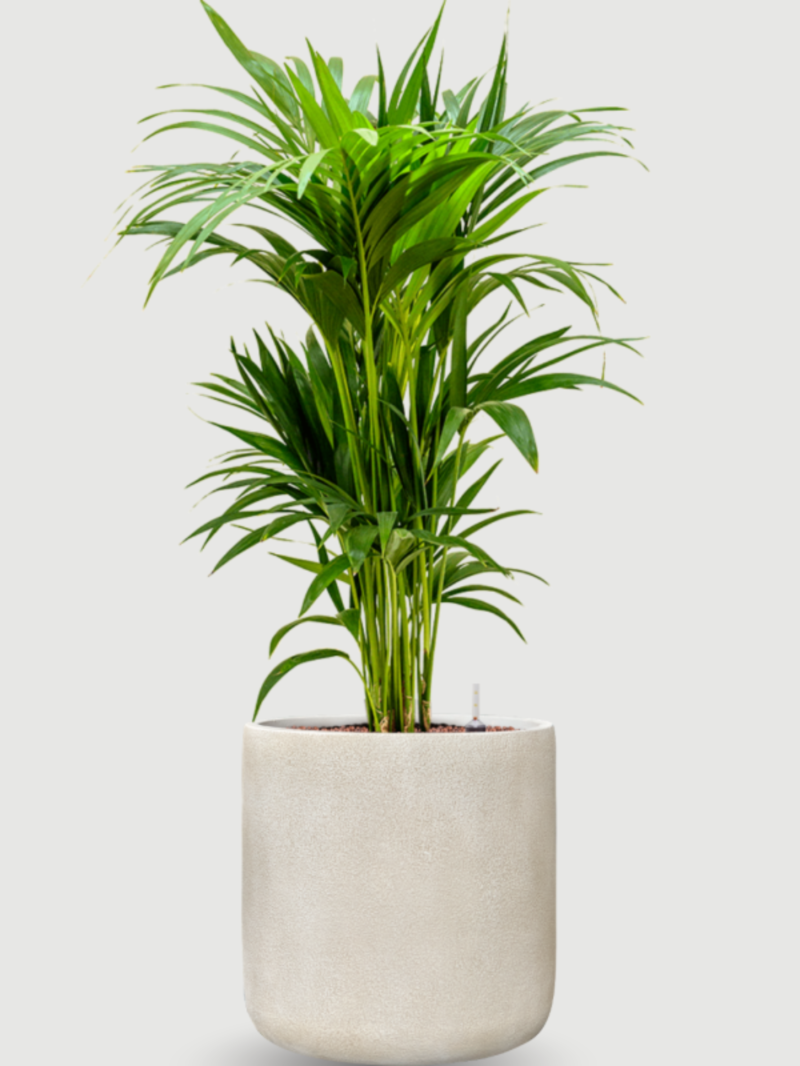 Antwerp_Plant_Pot_Beige_D37cm_Indoor__Outdoor_Planter