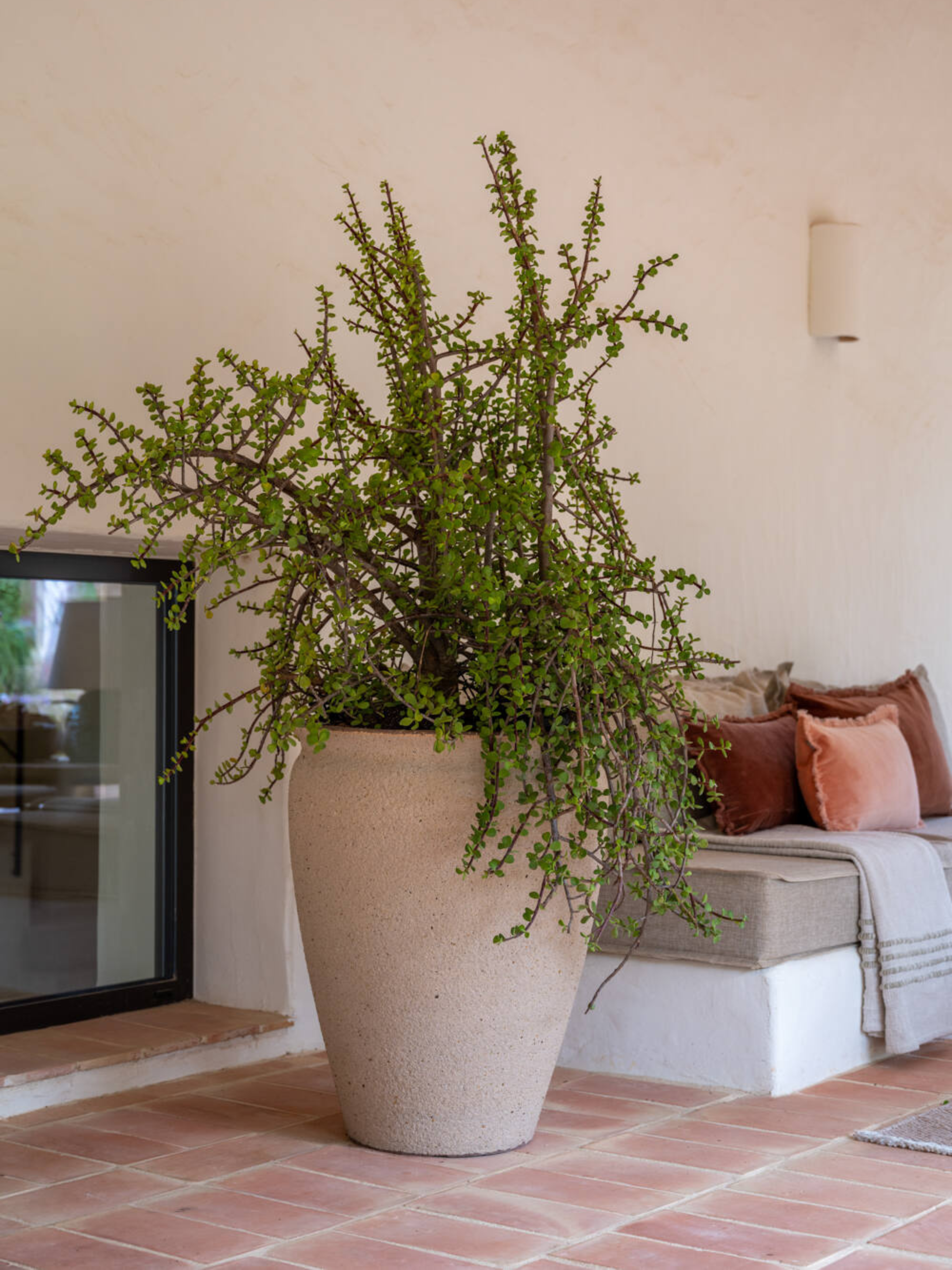 Artemis_Plant_Pot_Sahara_Sand_Indoor__Outdoor_Mediterranean_Collection