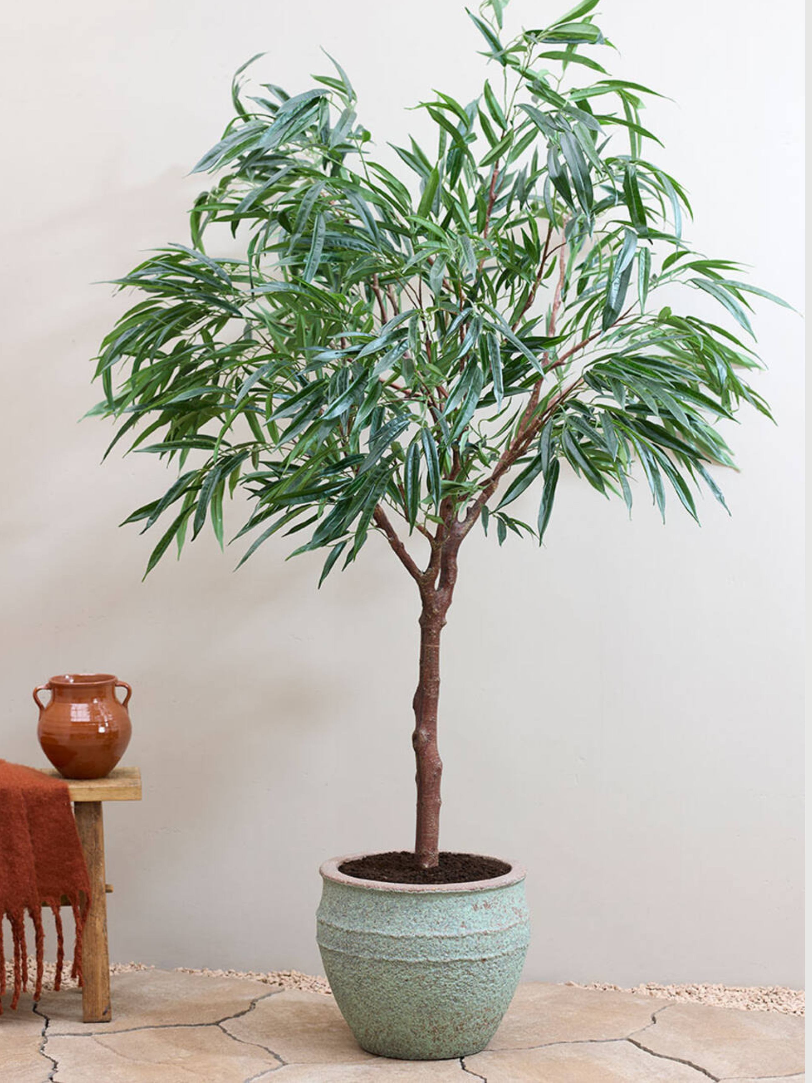 Athena_Mediterranean_Plant_Pot_Rustic_Green_Indoor__Outdoor_Mediterranean_Collection