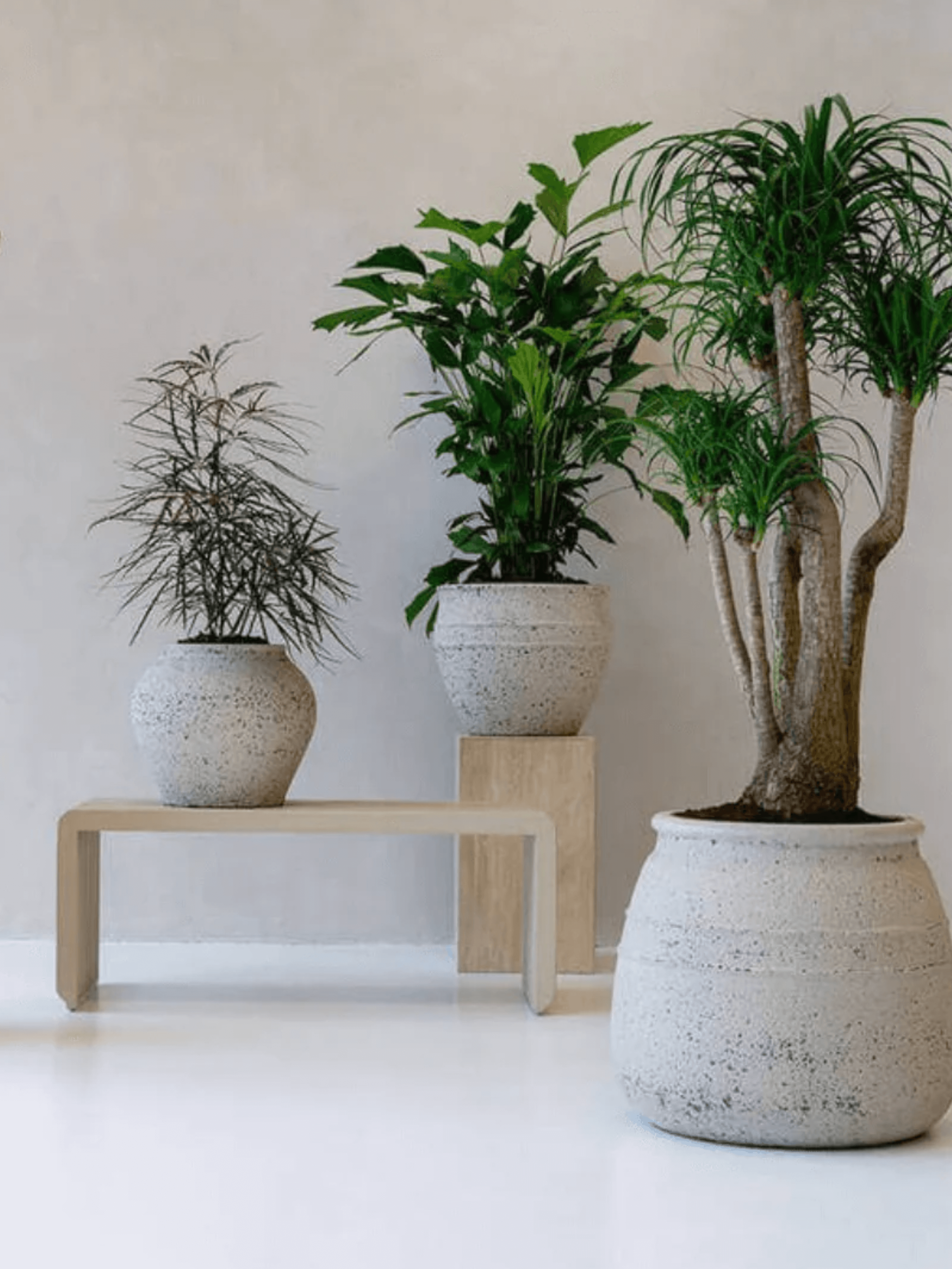 Athena_Mediterranean_Planter_-_Chalk_White_-_Large_Pots_-_29-41_cm
