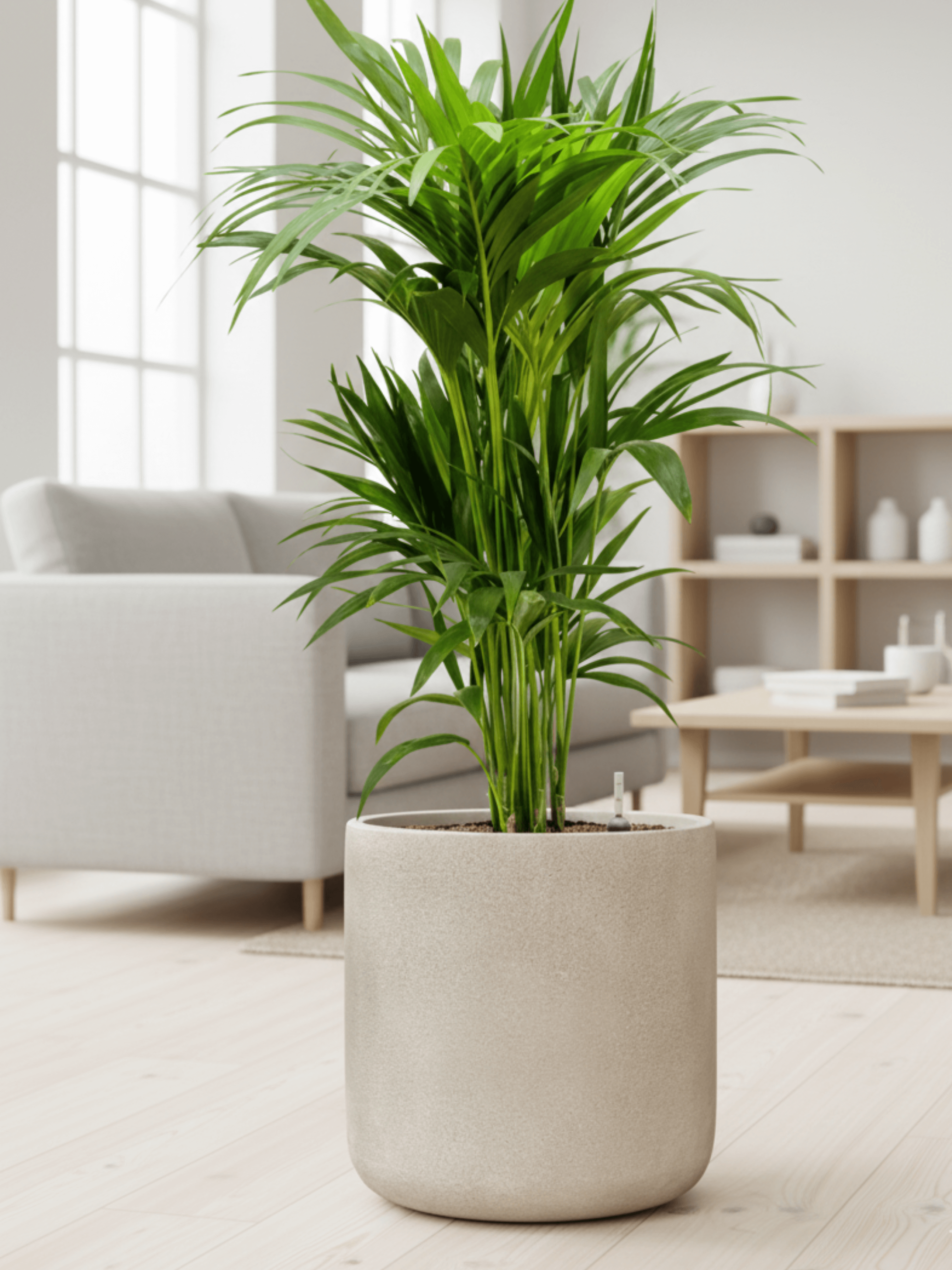Beige_Plant_Pot_Antwerp_-_D37cm_-_Indoor__Outdoor_Planter