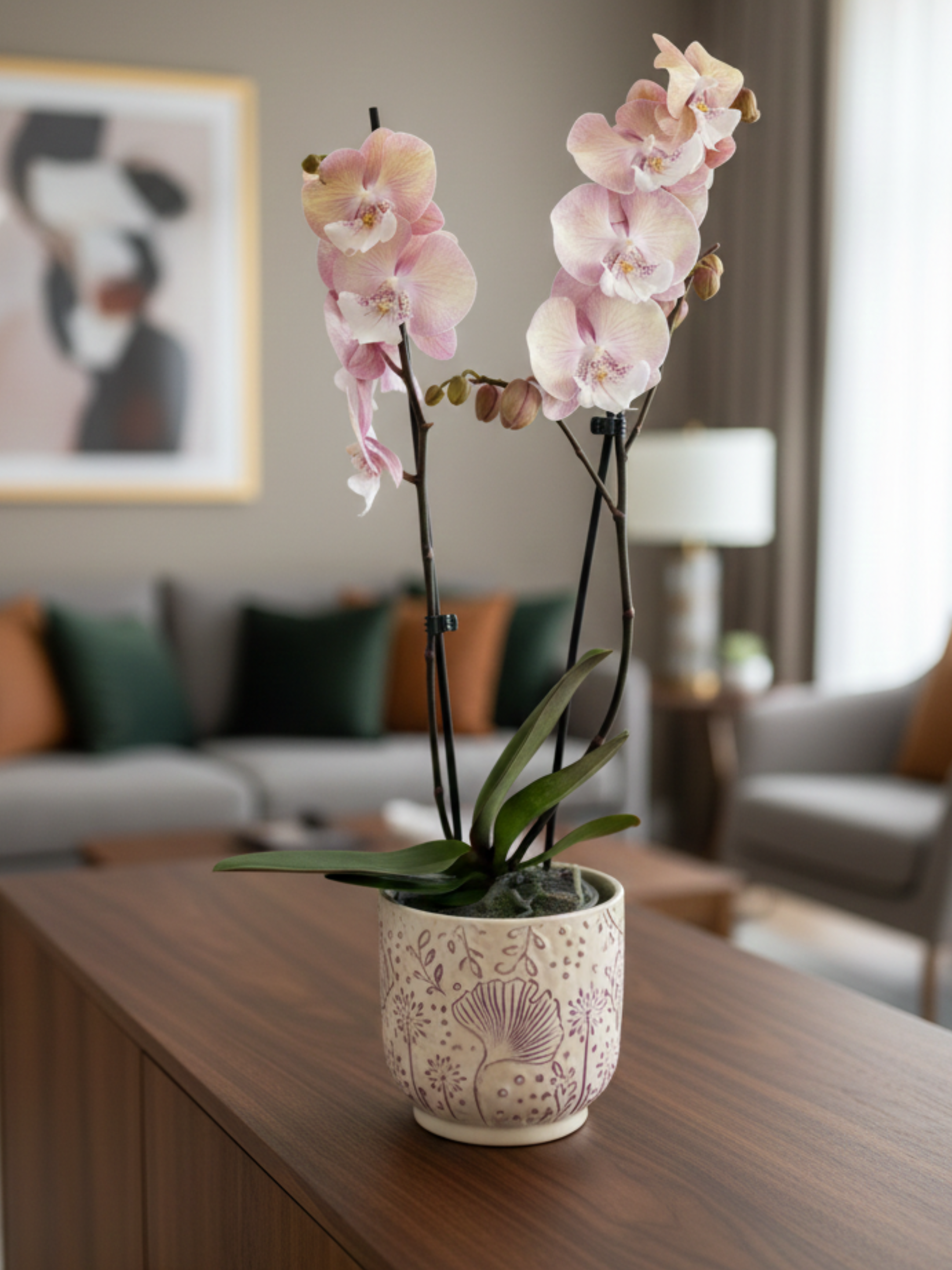 Big_Lip_Orchid_-_Phalaenopsis_Tina_-_Pink_Orange_Orchid_50cm