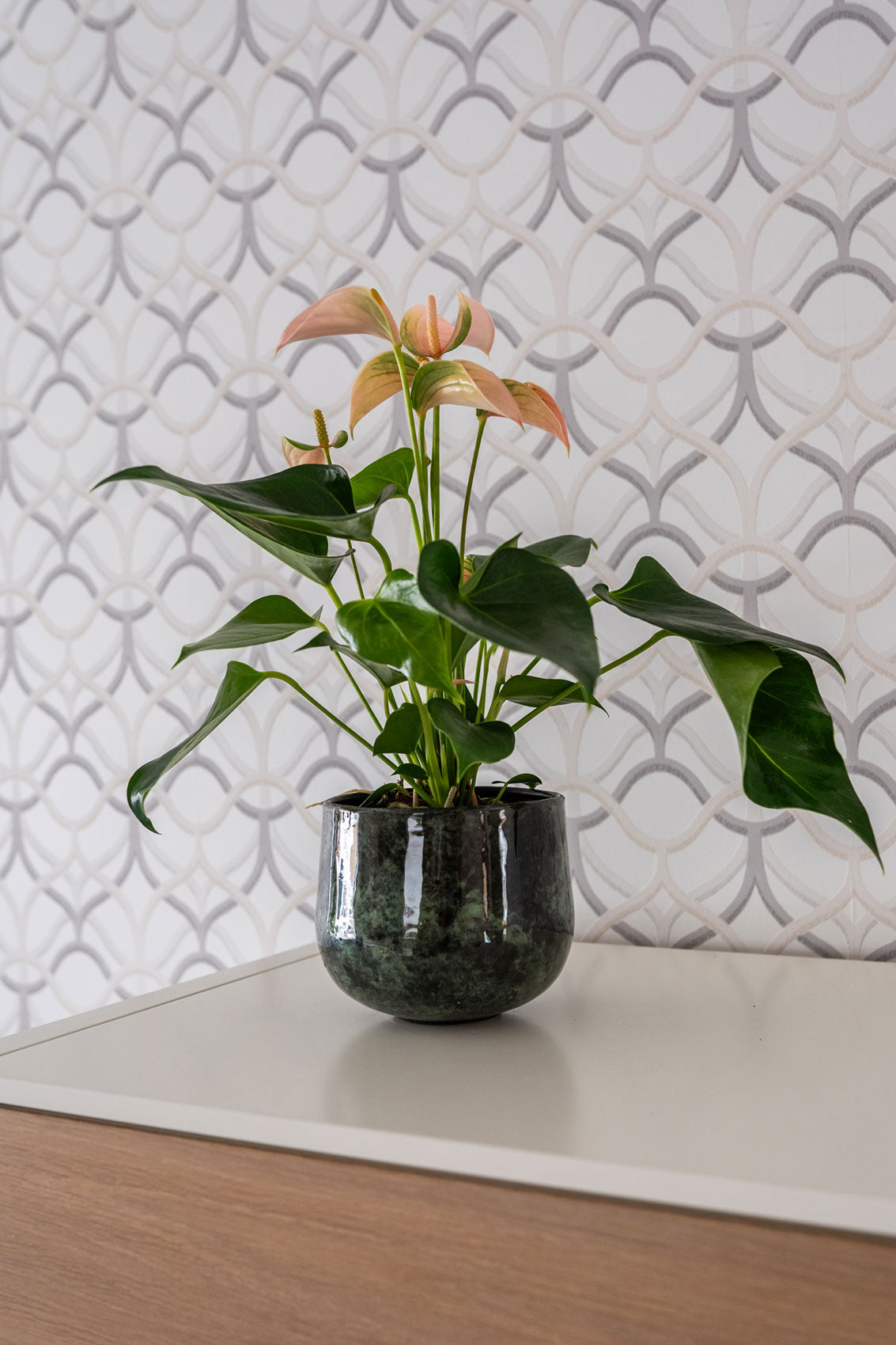 Emmie Metal Plant Pot, Mystic Green, Multiple Sizes