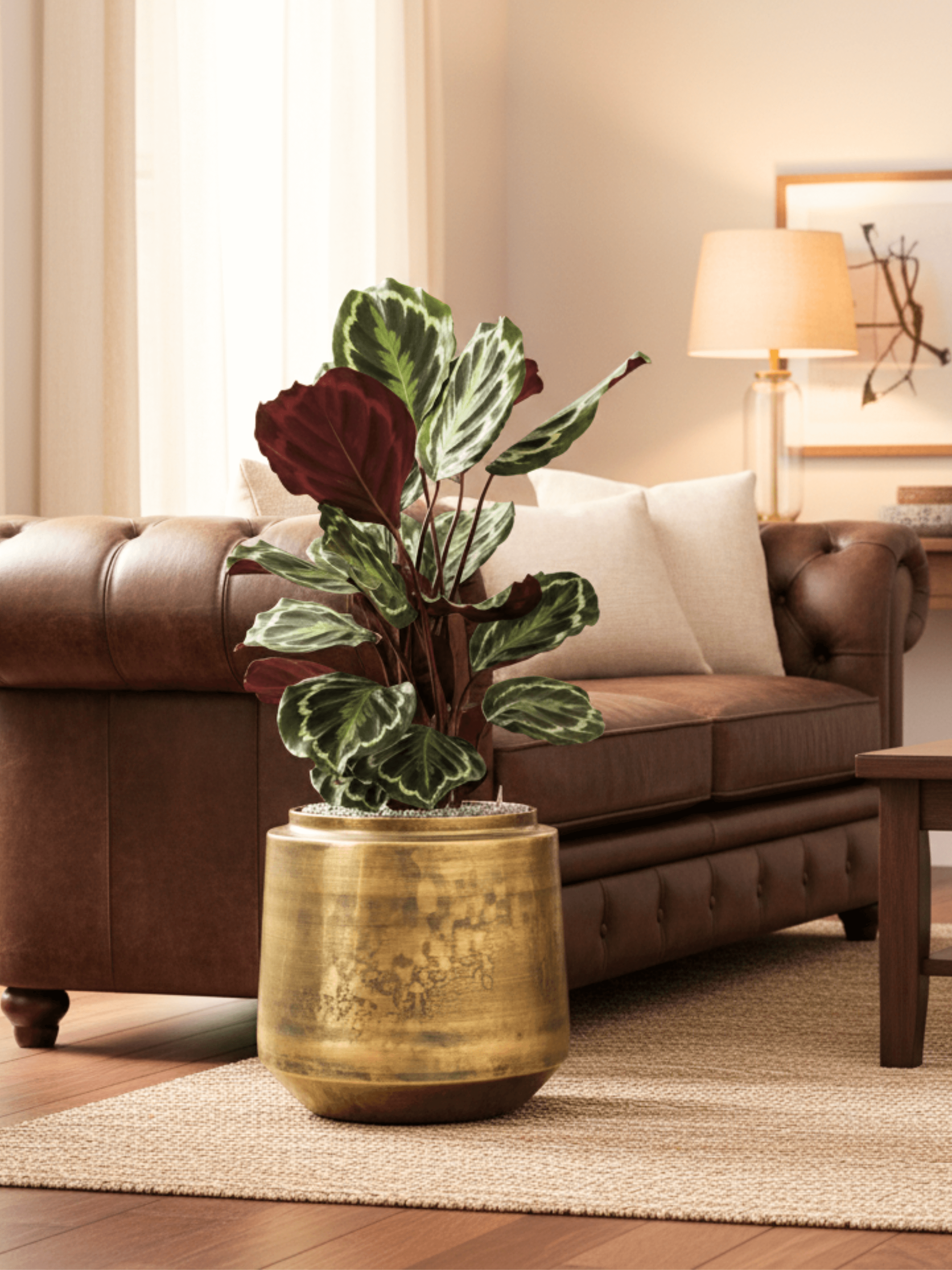 Handmade_Indigo_Metal_Pots_Vintage_Gold_Retro_Houseplant_Pot_Multiple_Size_D33-46cm