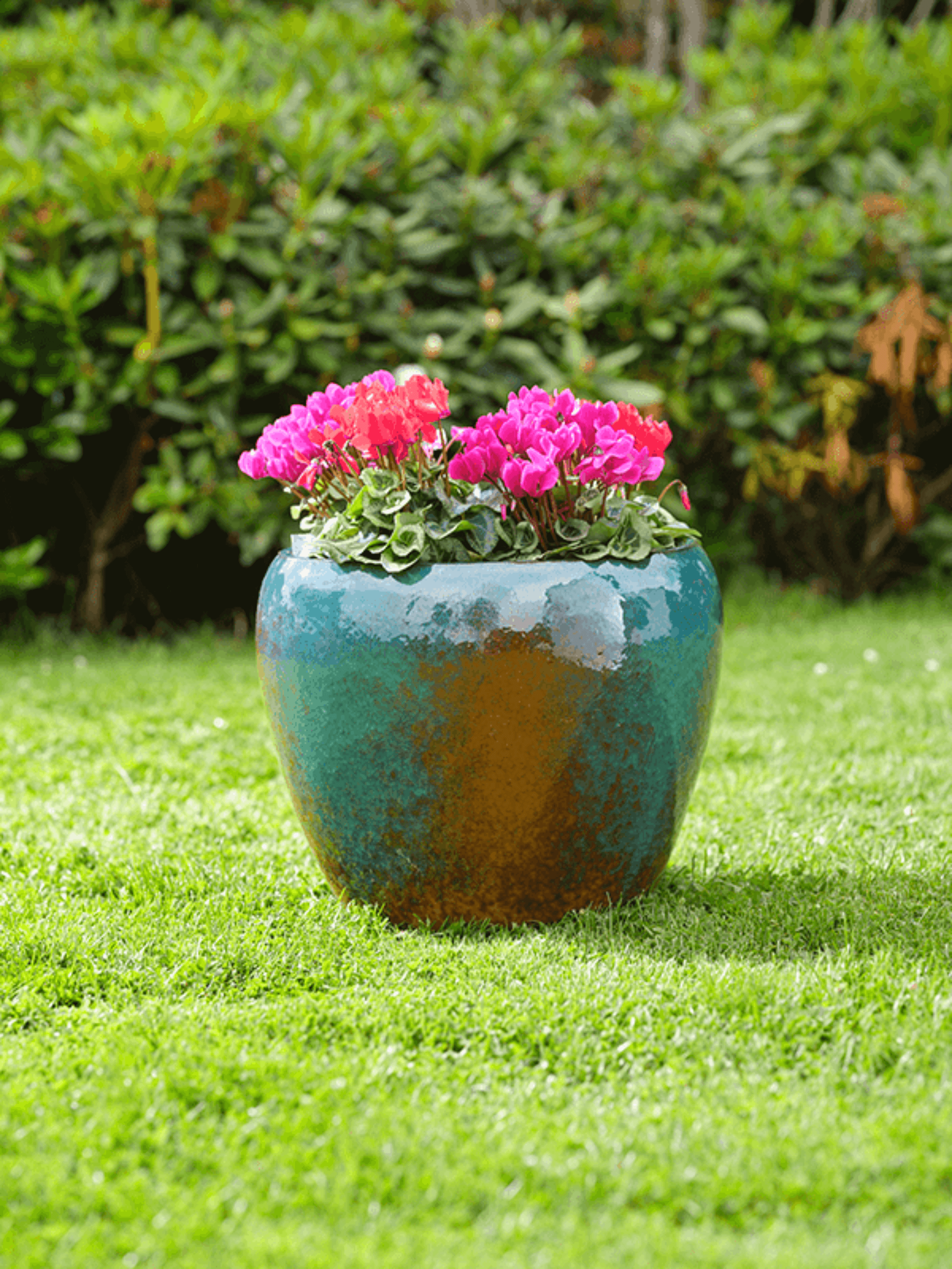 Mystic Turquoise Ceramic Pot - An Artisan Statement for Home & Garden