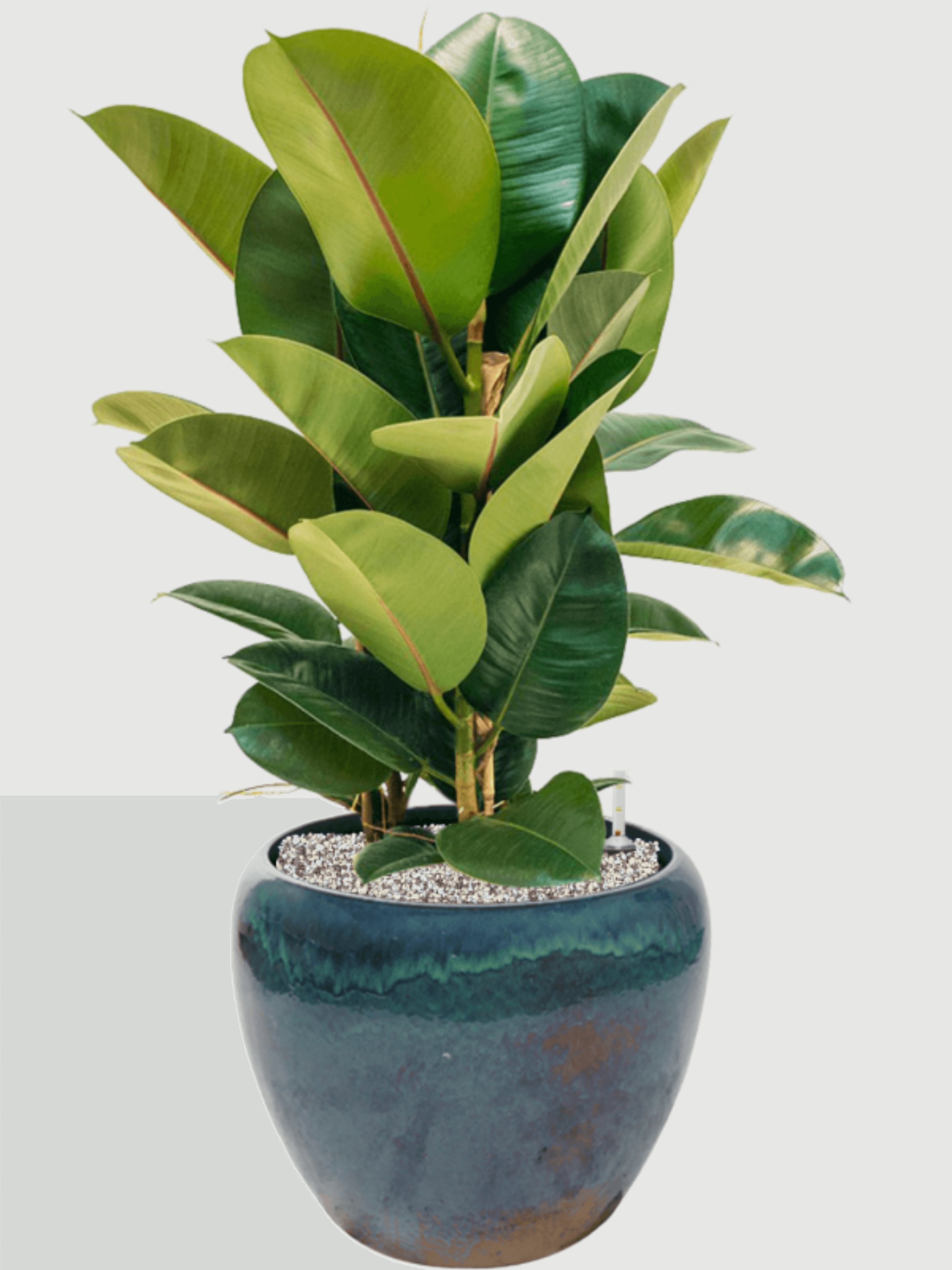 Handmade_Mystic_Ceramic_Indoor_Outdoor_PotsMetalic_Ocean_Turquoise_32cm_-_43cm_Plant_Pot