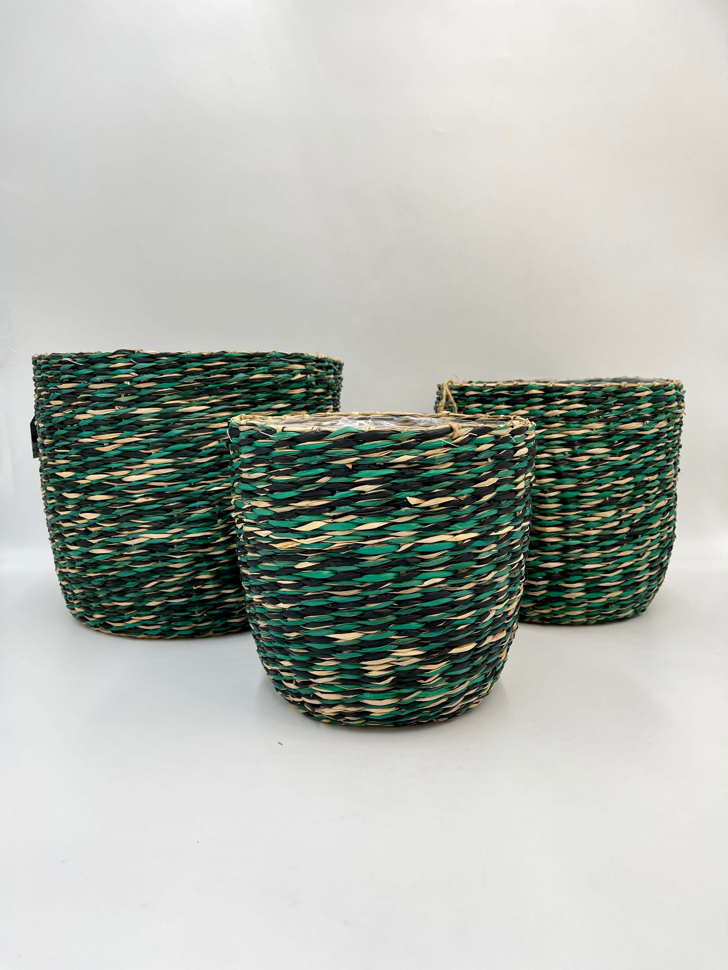 Indoor Plant Basket- Viviana Woven Plant Pot - Jungle Green