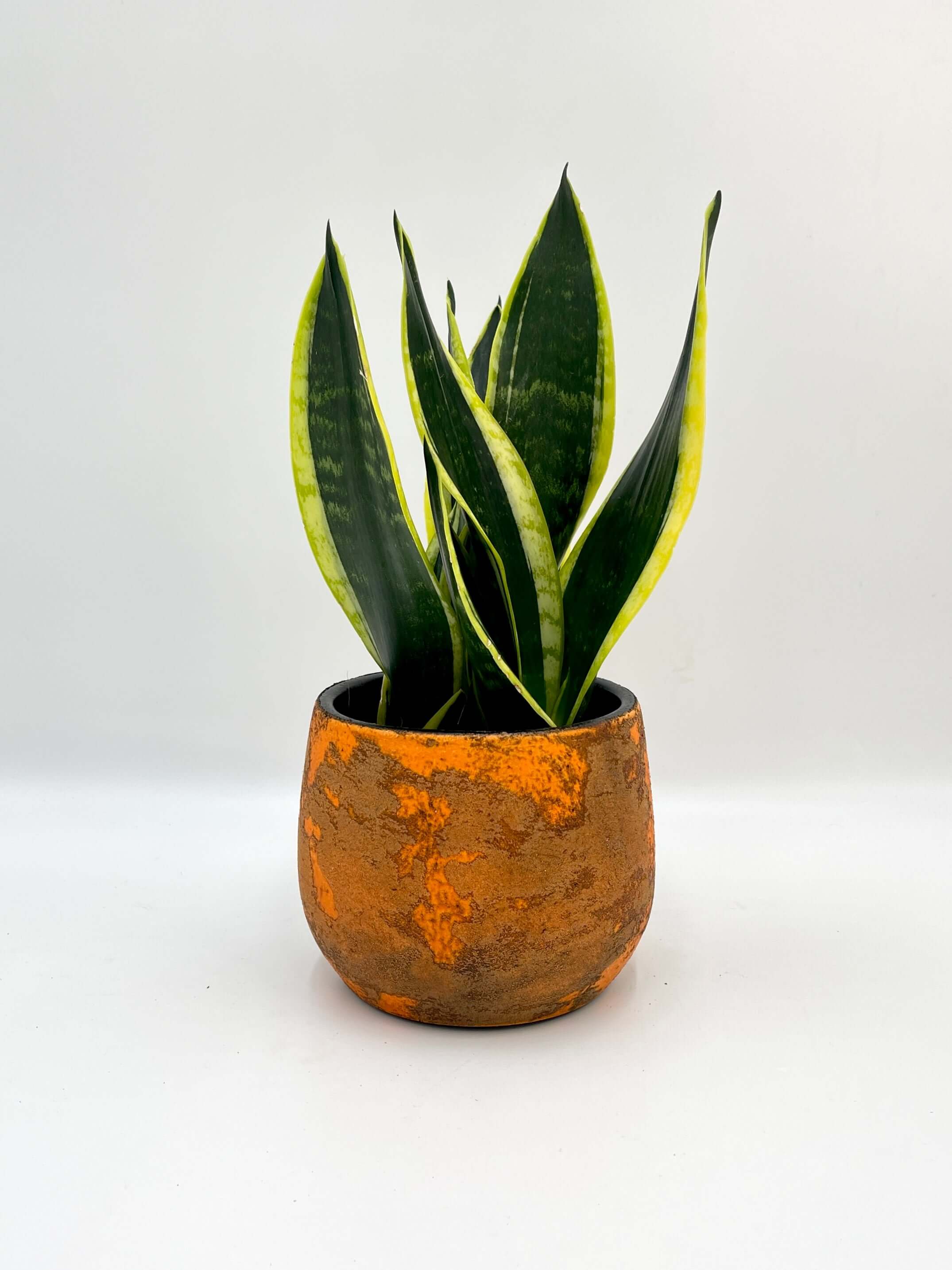 Olaf Ceramic Plant Pot Rust, Orange, Multiple Sizes