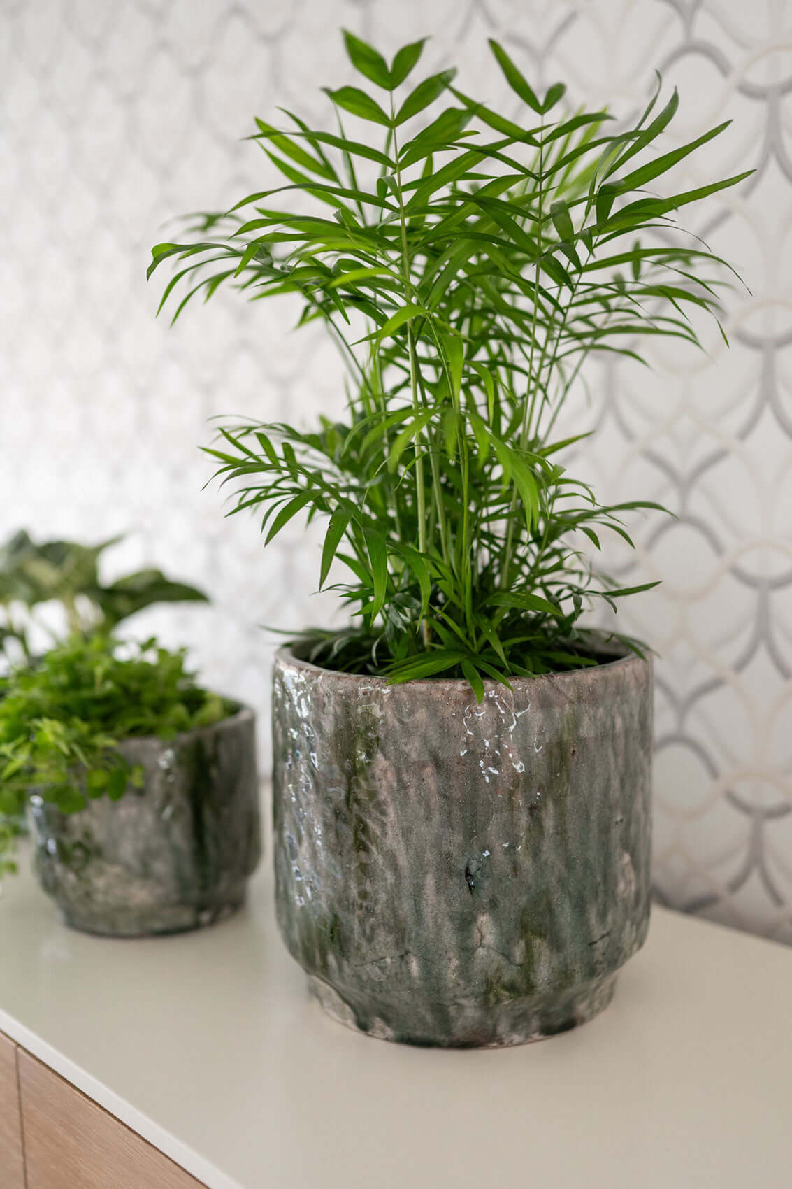 Julian Indoor Ceramic Pots, Moss Green, 14cm - 21cm Houseplant Pot