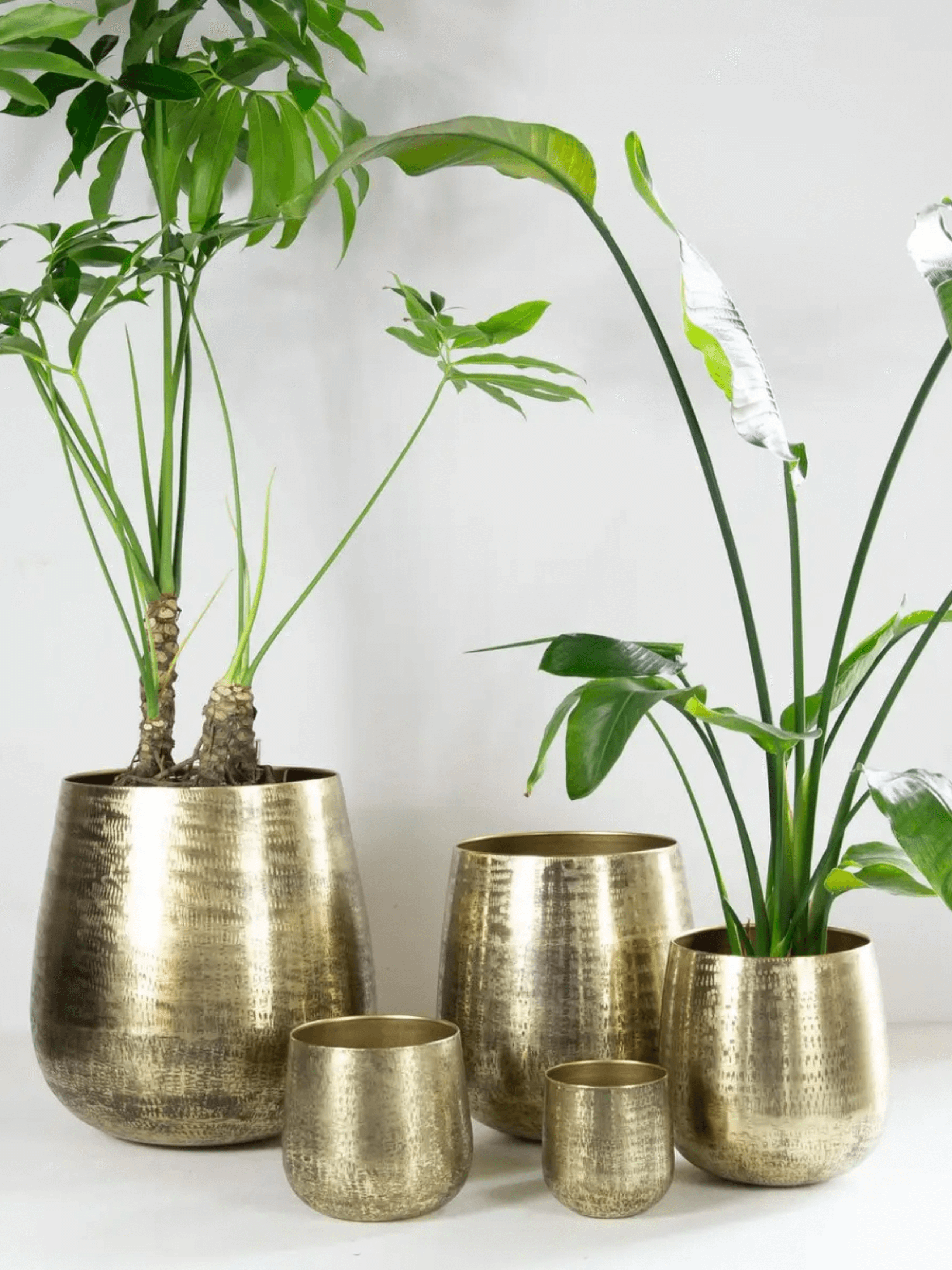 Karakter_Hand__Grinded_Metal_Pot_Old_Gold_House_Plant_Pot