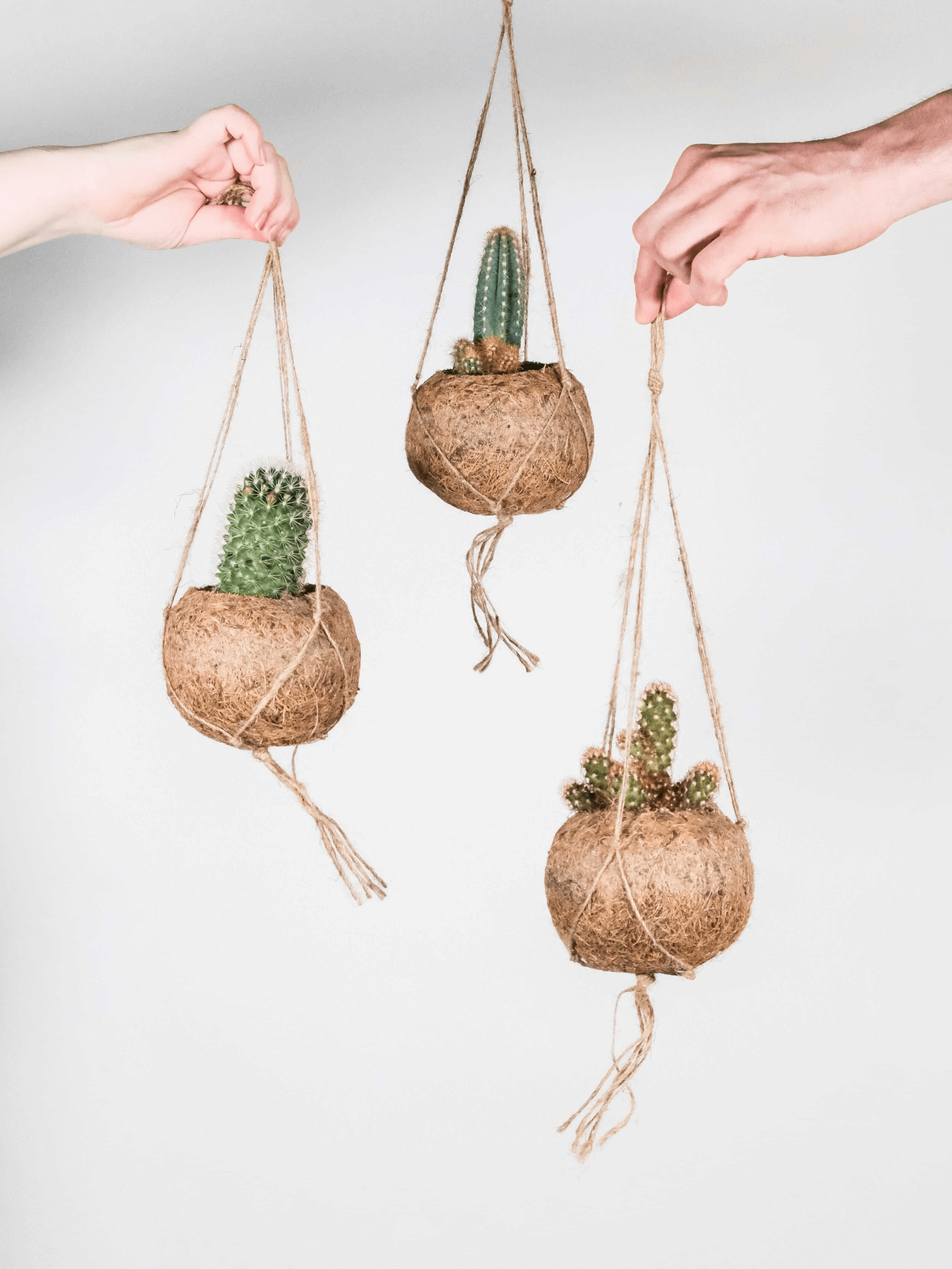 Kokedama_Hanging_Plant_Pots_Coconut_Fibre