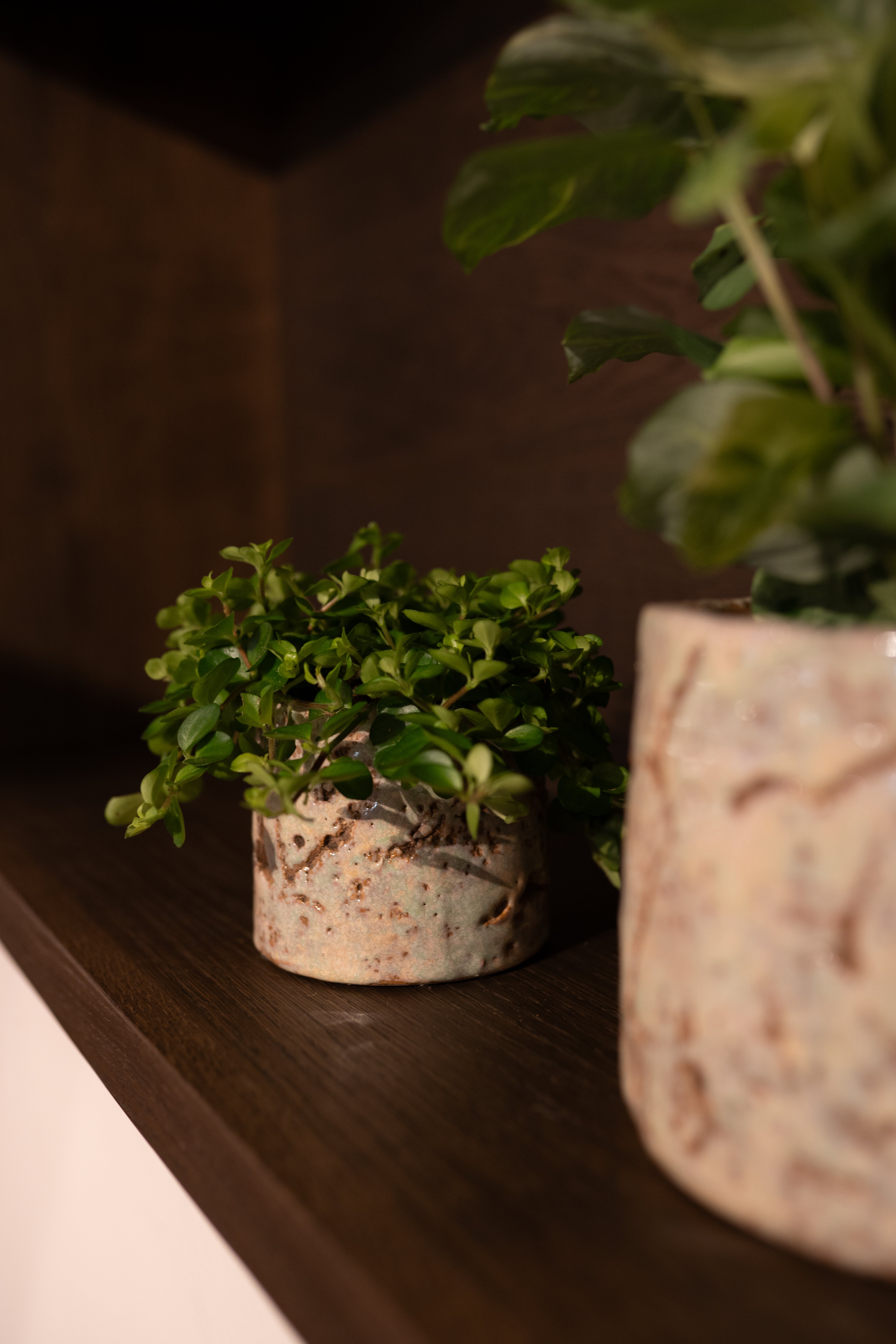 Masha Mint Green Ceramic Plant Pot, Multiple Sizes, Indoor Planter