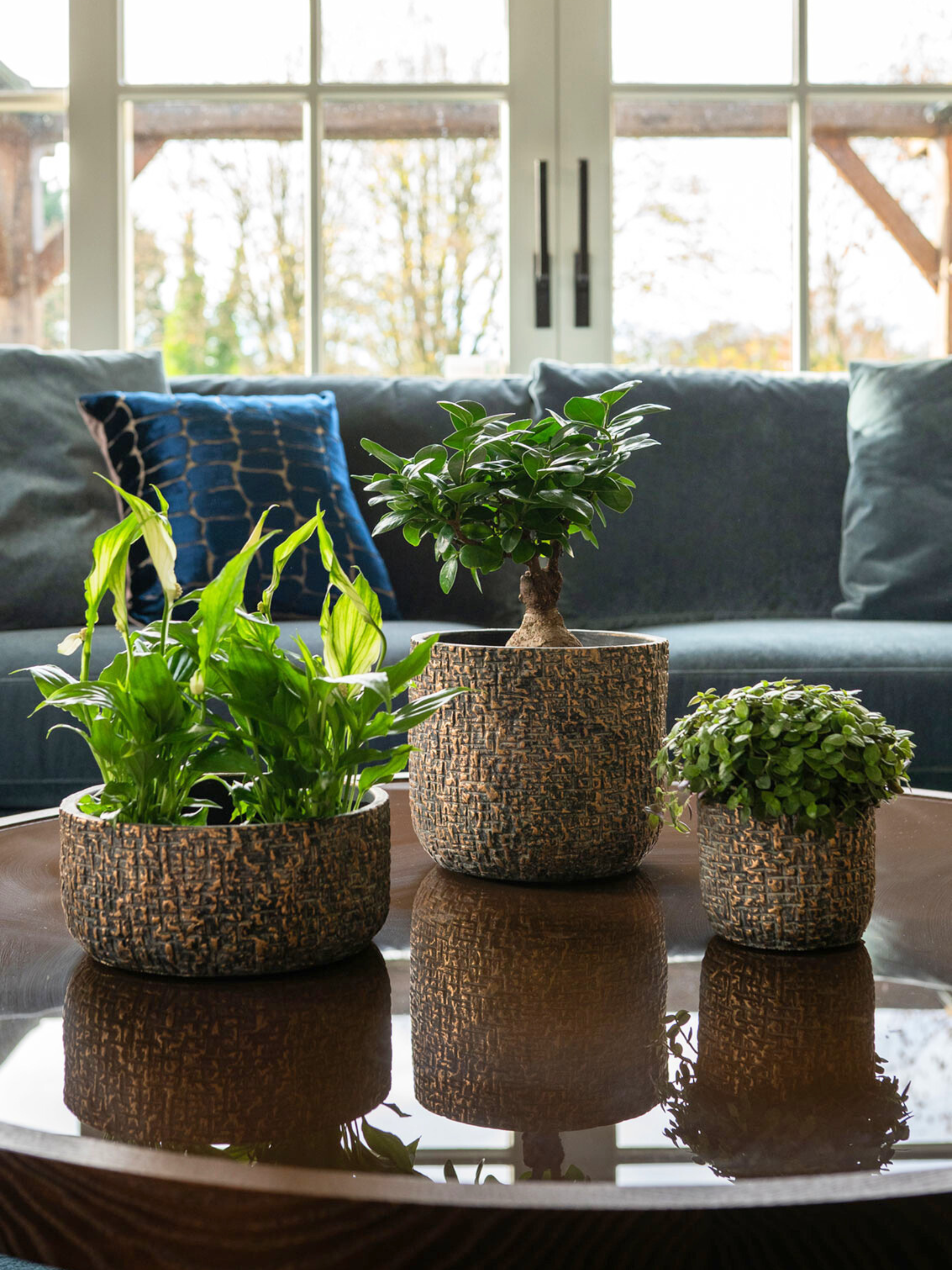 Maxim_Shiny_Ceramic_Pots_Earth_House_Plant_Pot_in_Multiple_Sizes