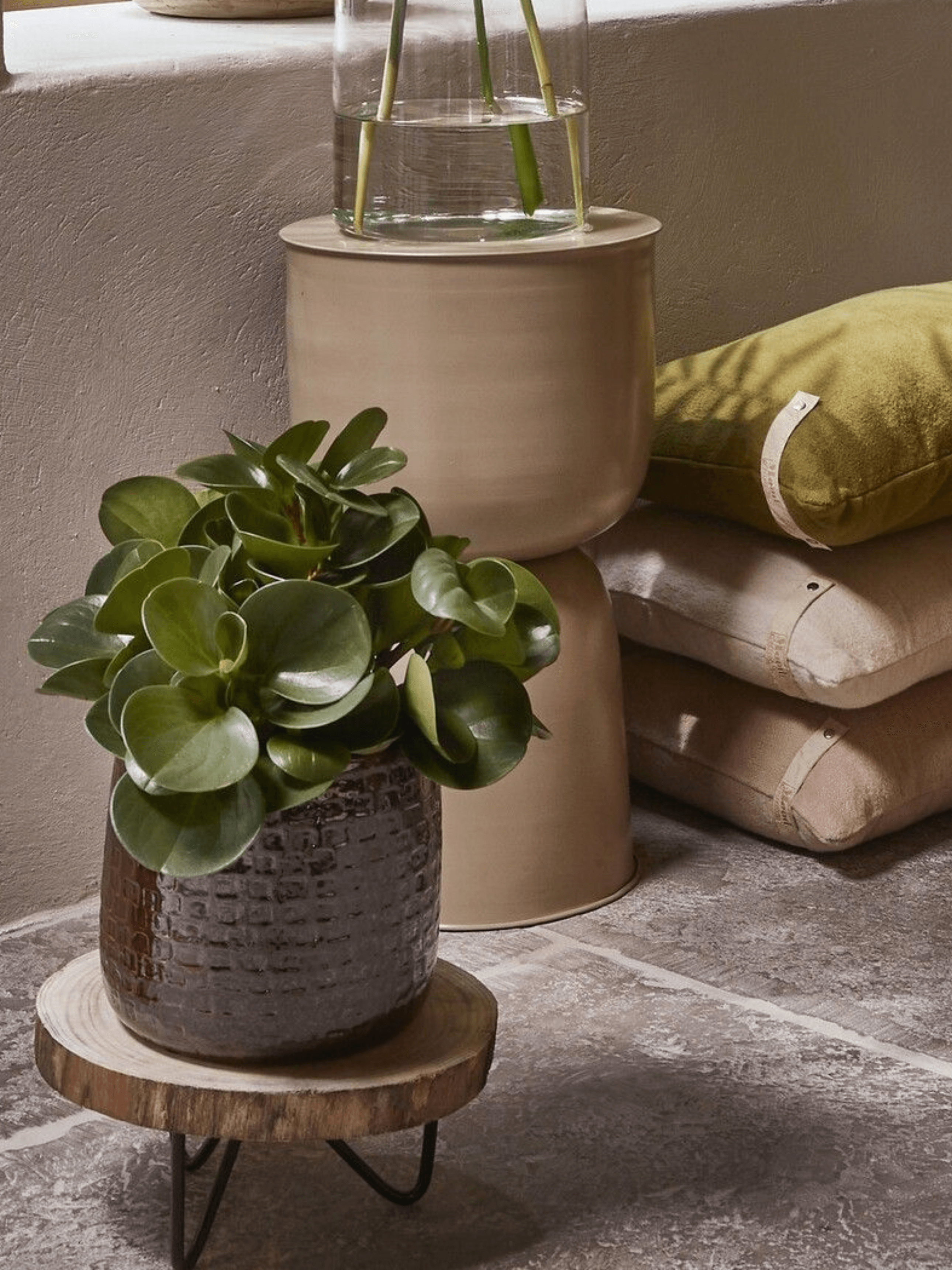 Pia_Wood_Plant_Stand_D29cm