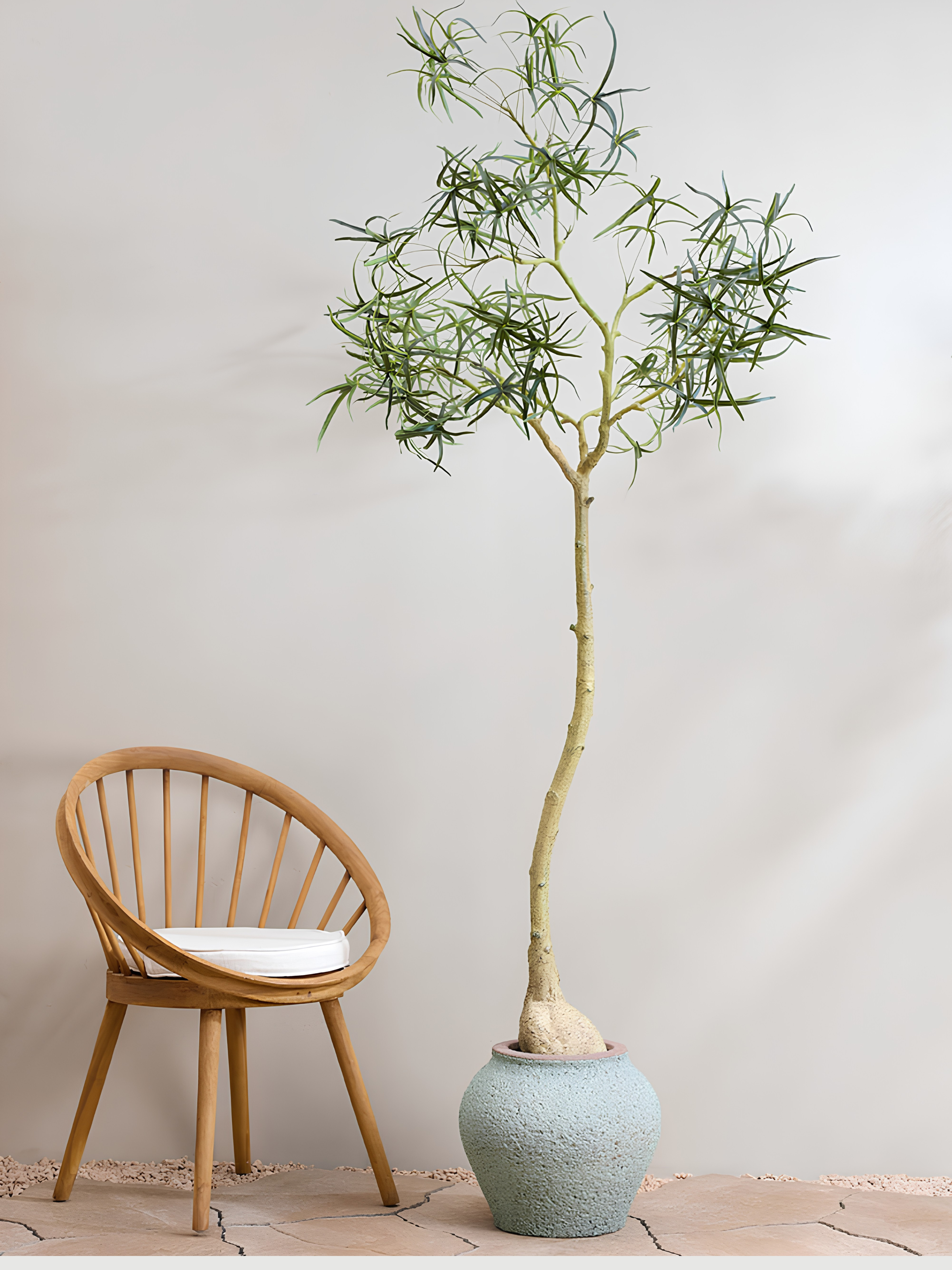 Zeus Plant Pot, Rustic Green, Indoor & Outdoor Mediterranean Collection