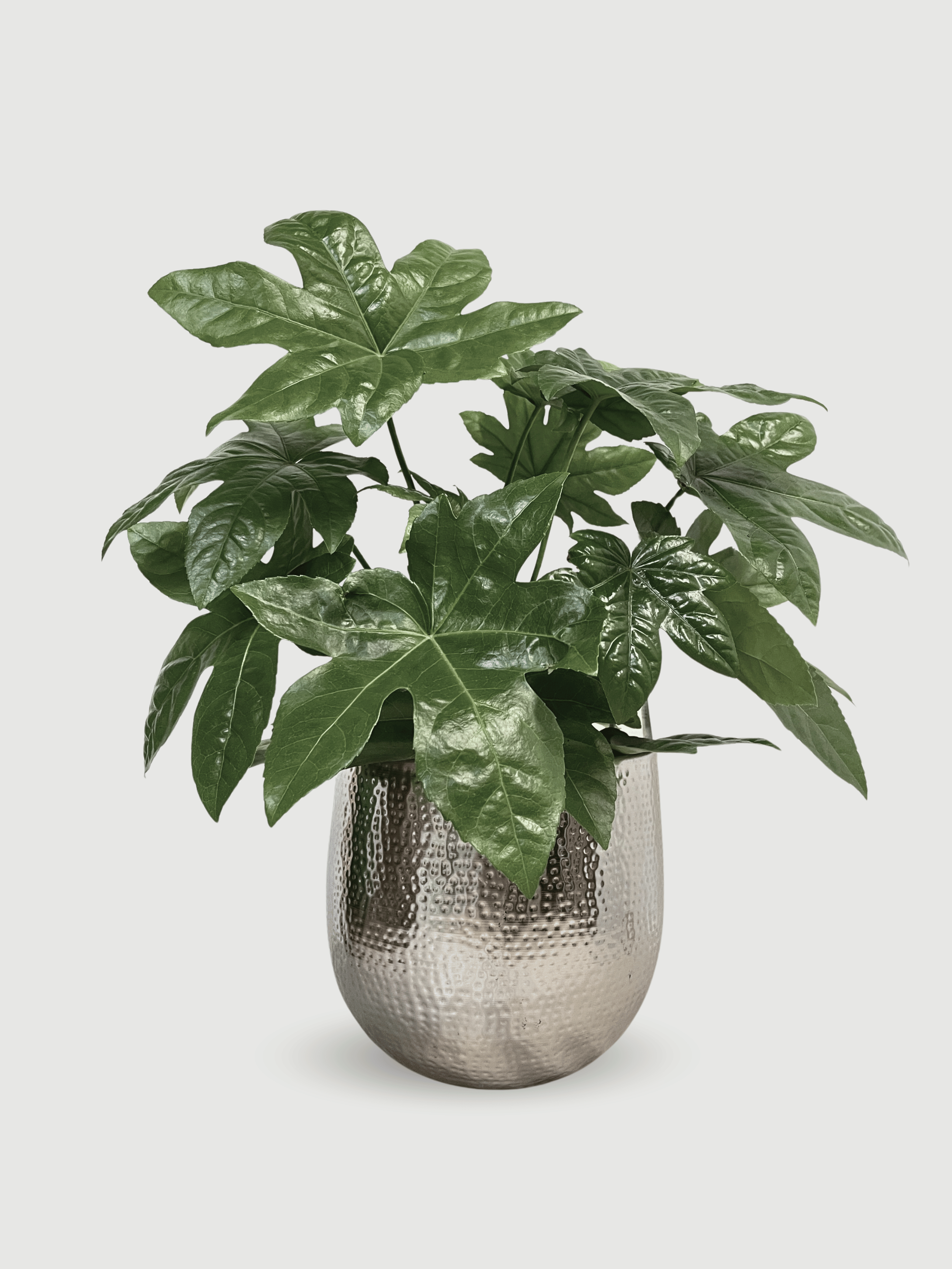 Ribbed Metal Plant Pot Silver, Kristy, In Multiple Sizes