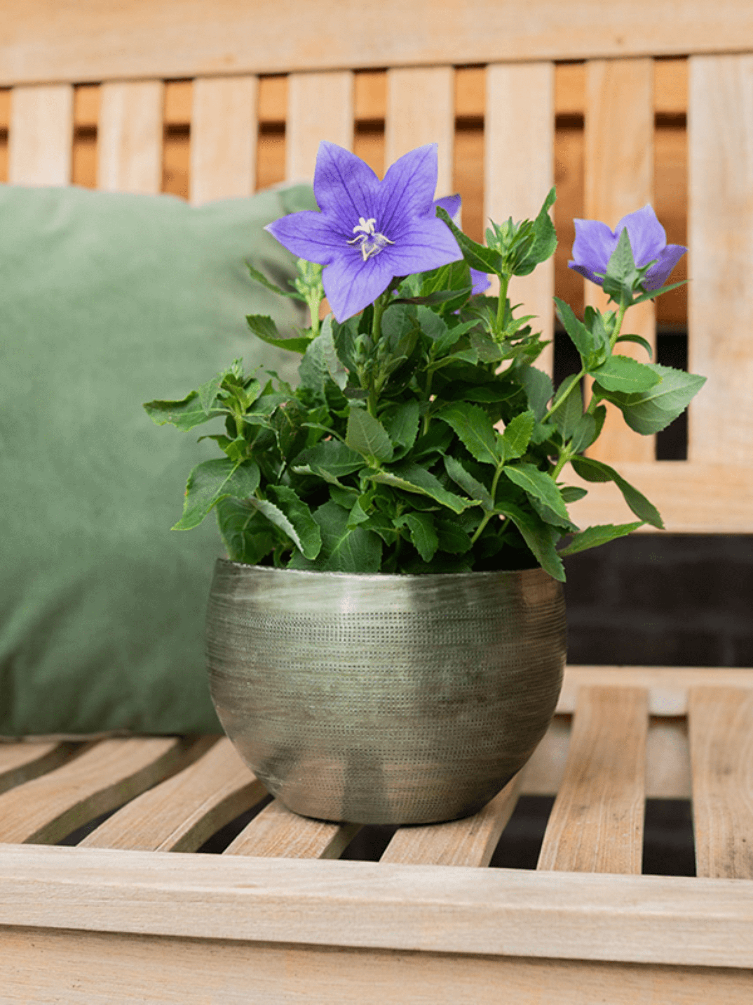Rowen_Vintage_Metal_Plant_Pots_New_Green_in_Multiple_Sizes_Indoor__Outdoor_Pot