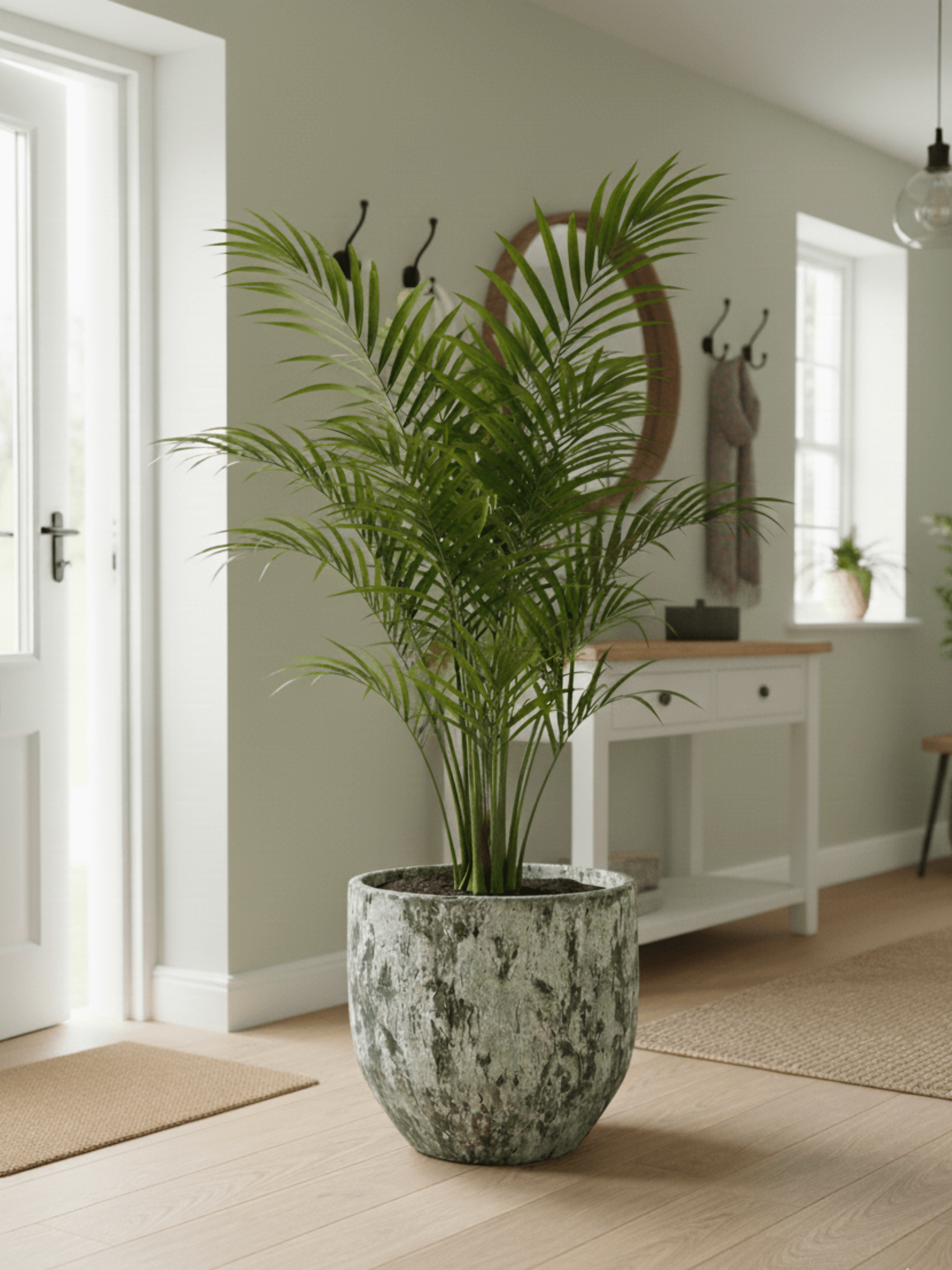 Sem_XL_Handmade_Pot_Rustic_Ceramic_Indoor_Plant_Pots_in_Multiple_Sizes_Green