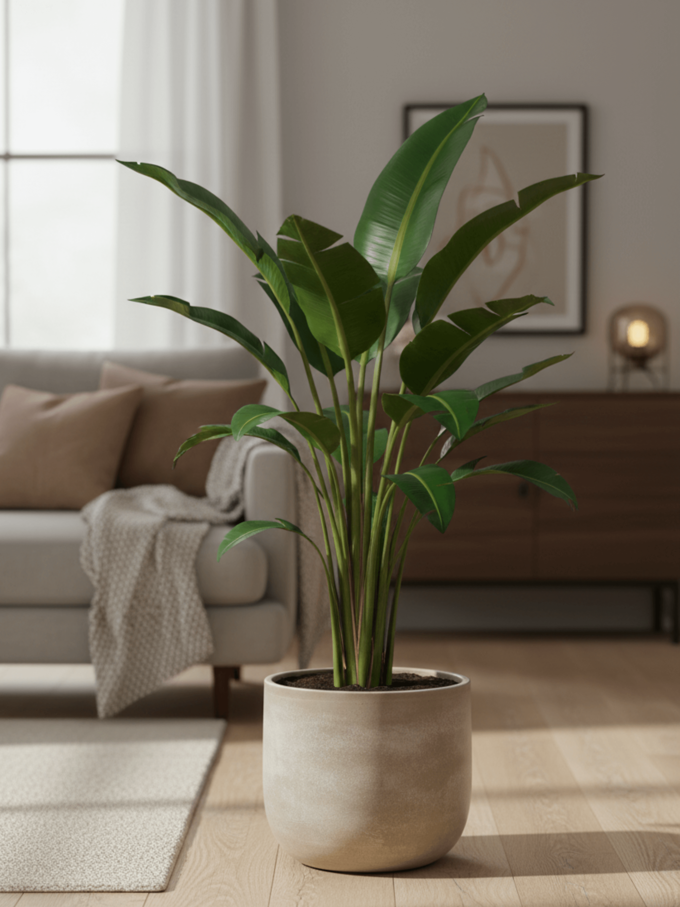 Sevilla_Ceramic_Indoor_Plant_Pots_Off_White_Houseplant_Pot_Multiple_Sizes