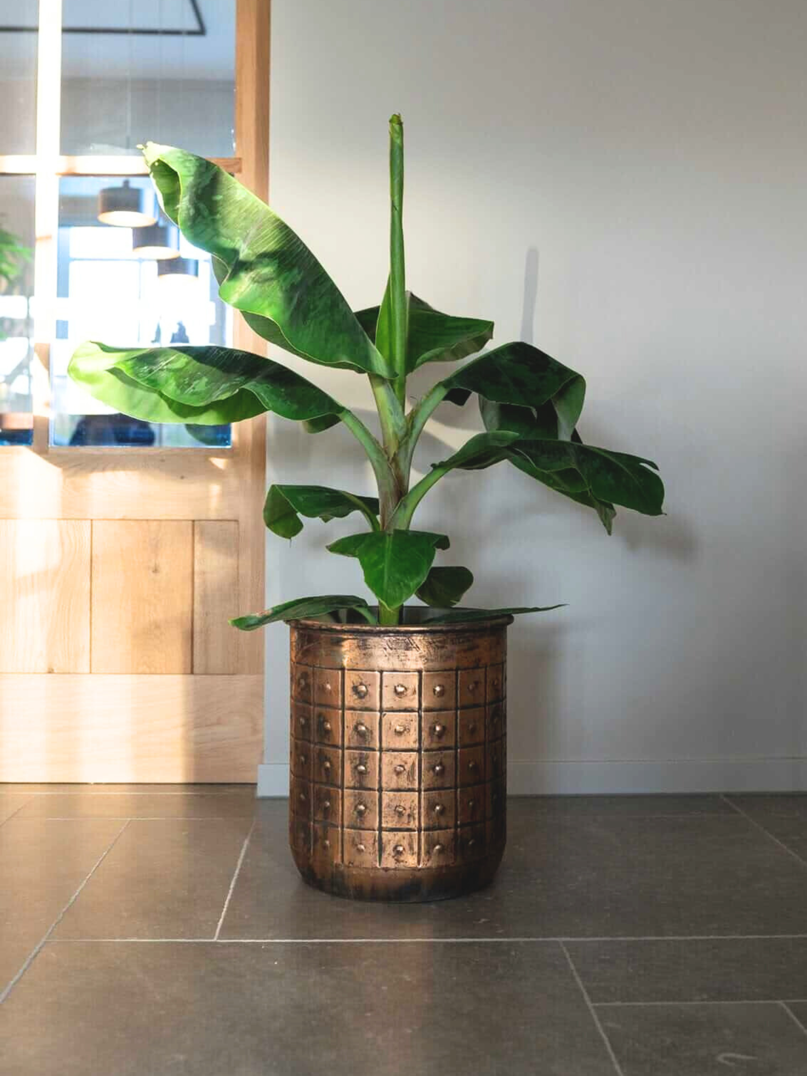 Tobi_Large_Metal_Plant_Pots_Copper_Indoor_Plant_Pot_in_Multiple_Sizes