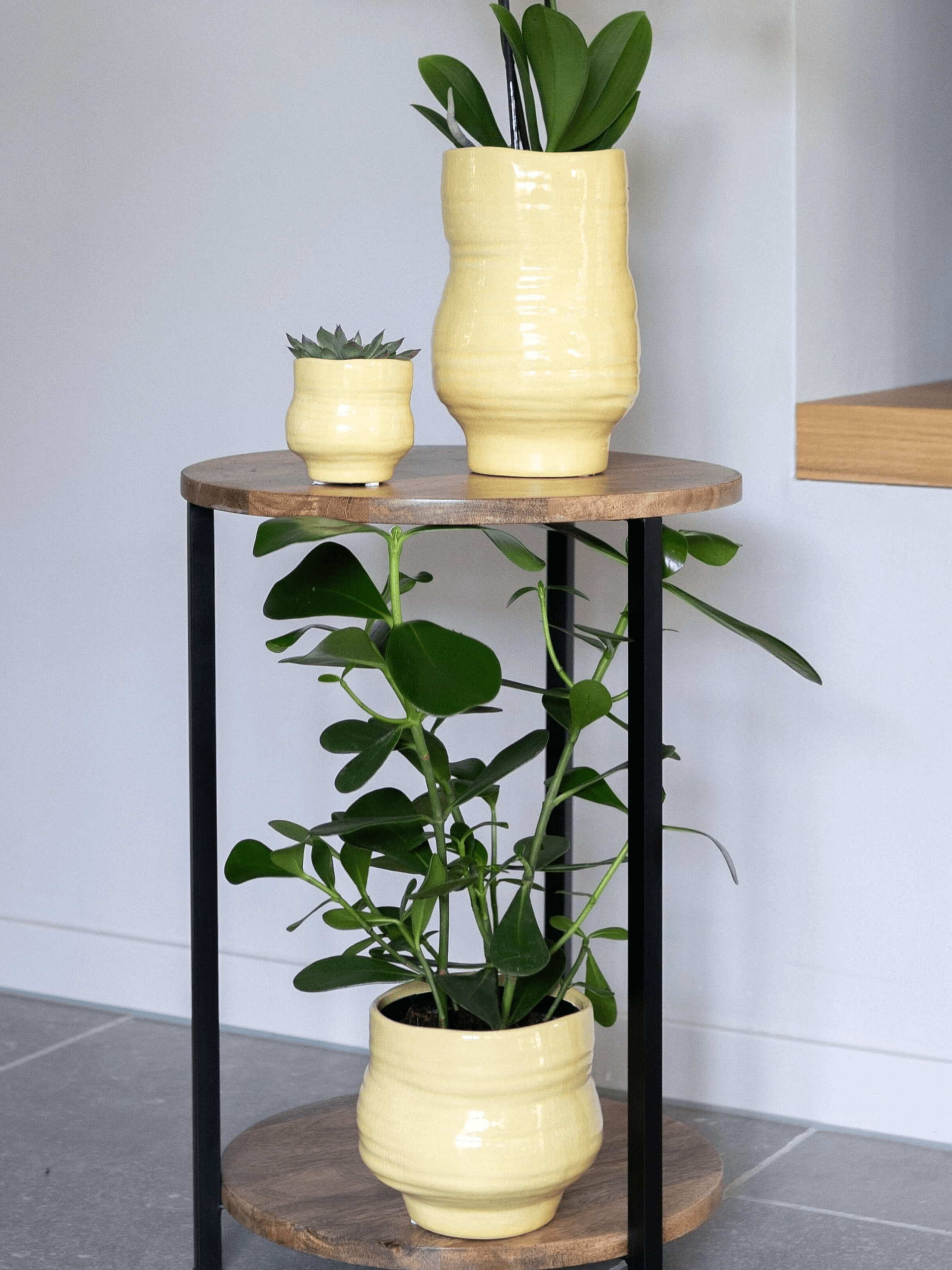 Veerle_Handmade_Ceramic_Plant_Pot_Yellow_D15_cm_Orchid_Pot