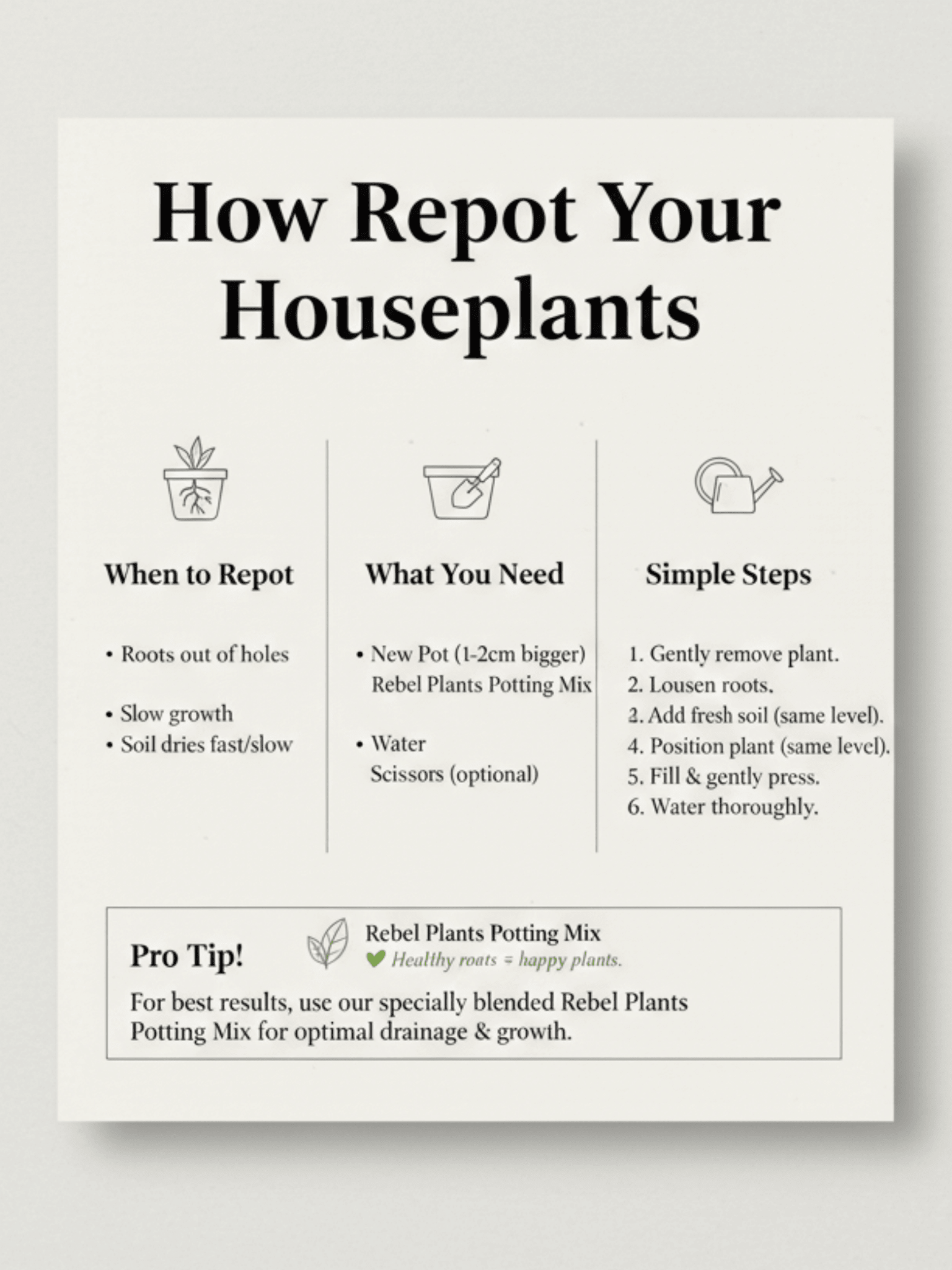 Premium Houseplant Potting Mix, Multi-Purpose Soil