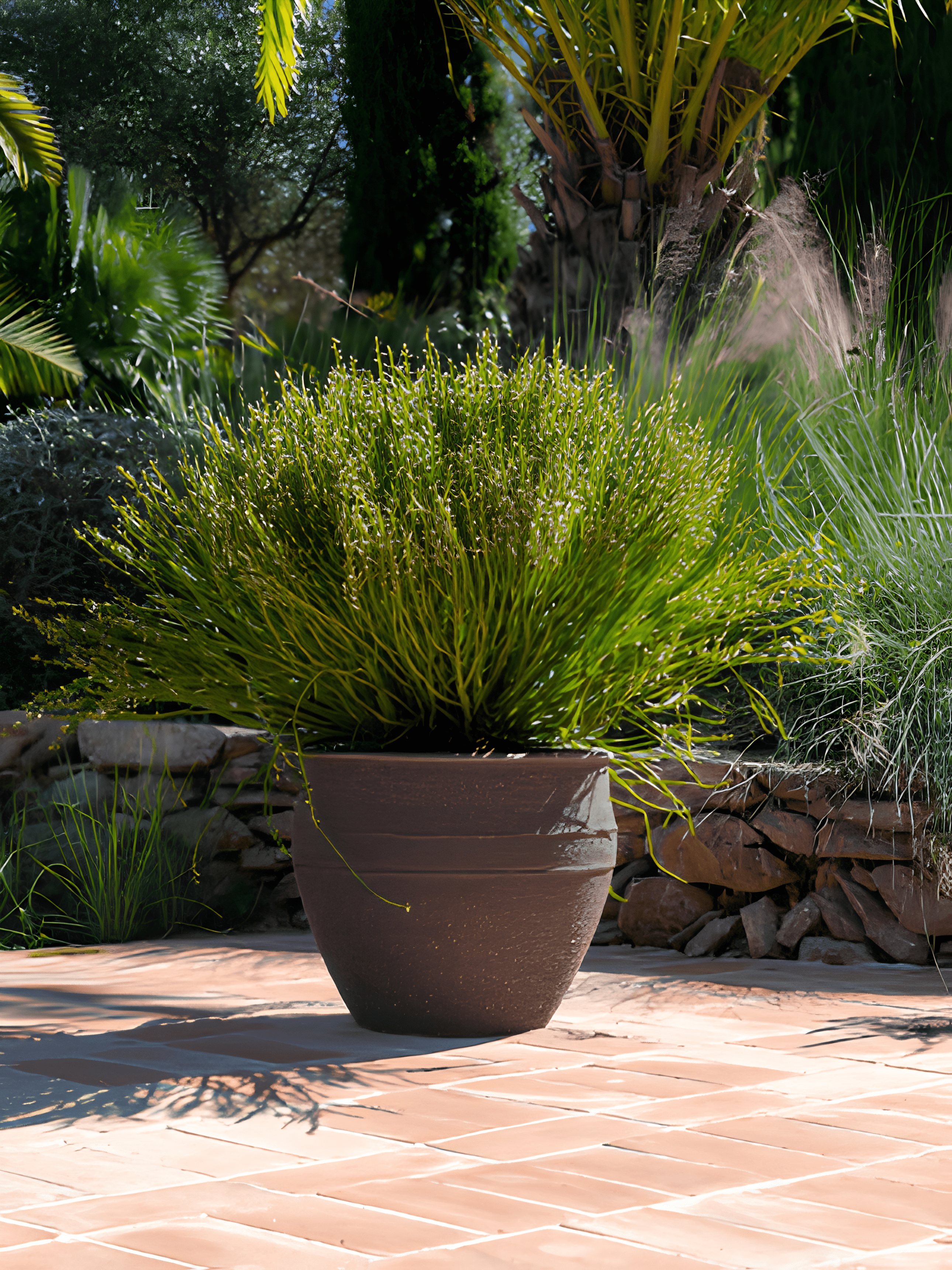 Athena Mediterranean Plant Pot: Umber Brown, Indoor & Outdoor Mediterranean Collection - Rebel Plants
