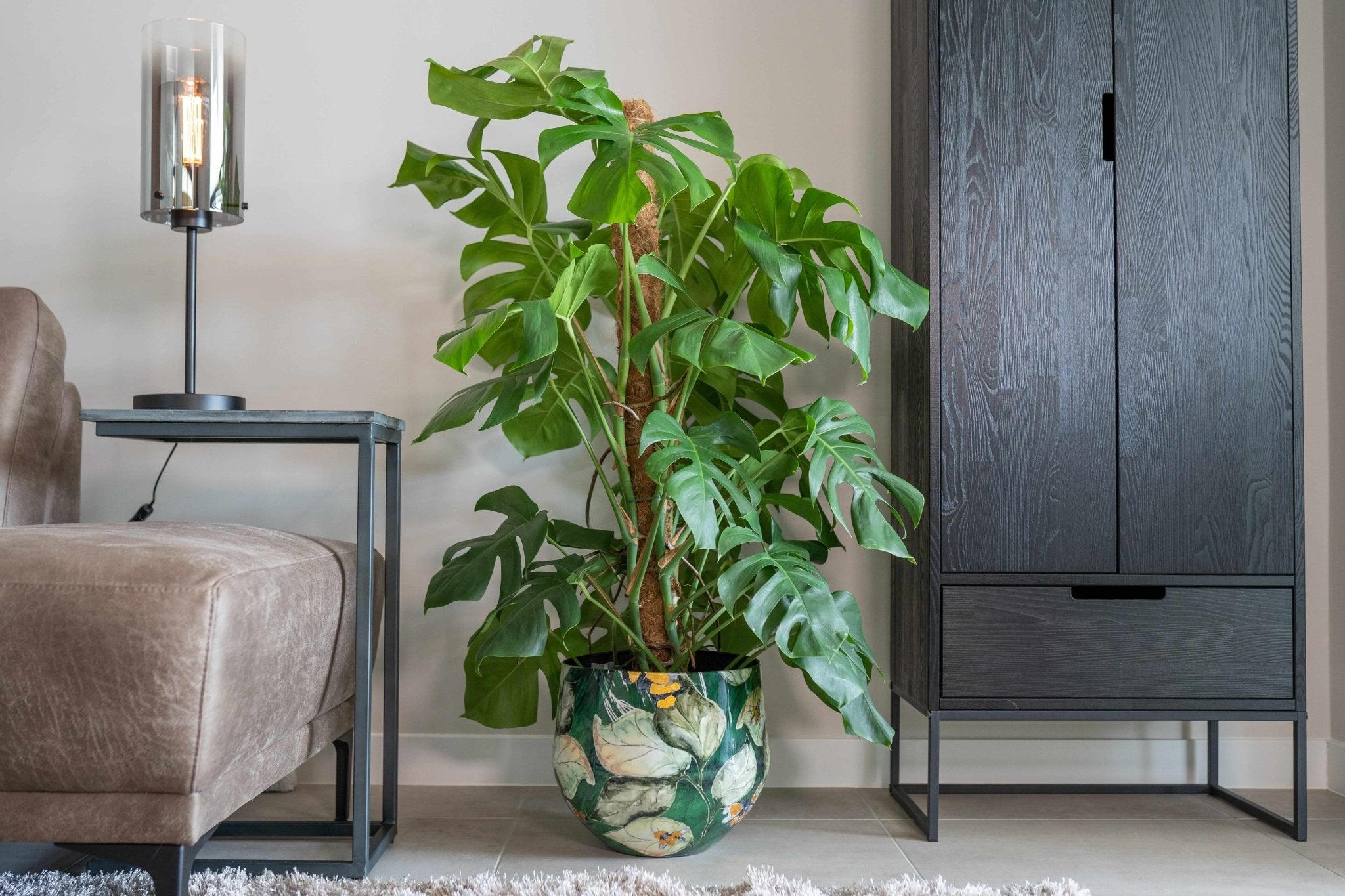 Bee Green, Metal Plant Pots by Lammie, House Plant Pot in Multiple Sizes