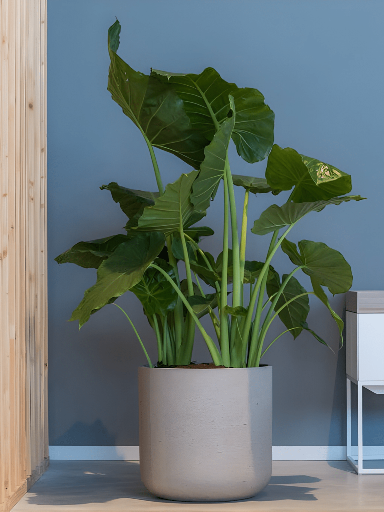 Charlie_Rough_Indoor_Outdoor_Plant_Pots_18cm_-_25cm_Grey_Washed