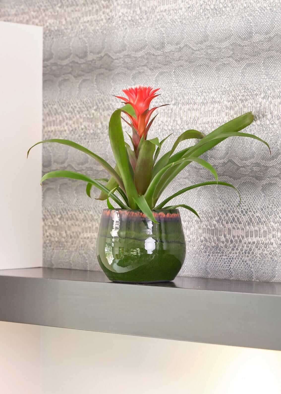 Retro Ceramic Plant Pot Charlotte - Emerald Green - Indoor Plant Pot