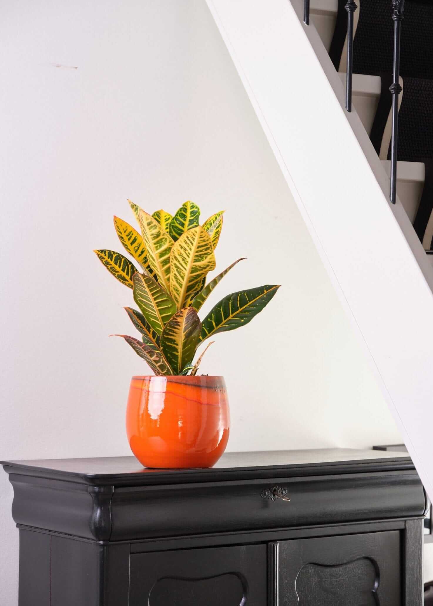 Charlotte, Retro Ceramic Plant Pots, Orange, House Plant Pot in Multiple Sizes