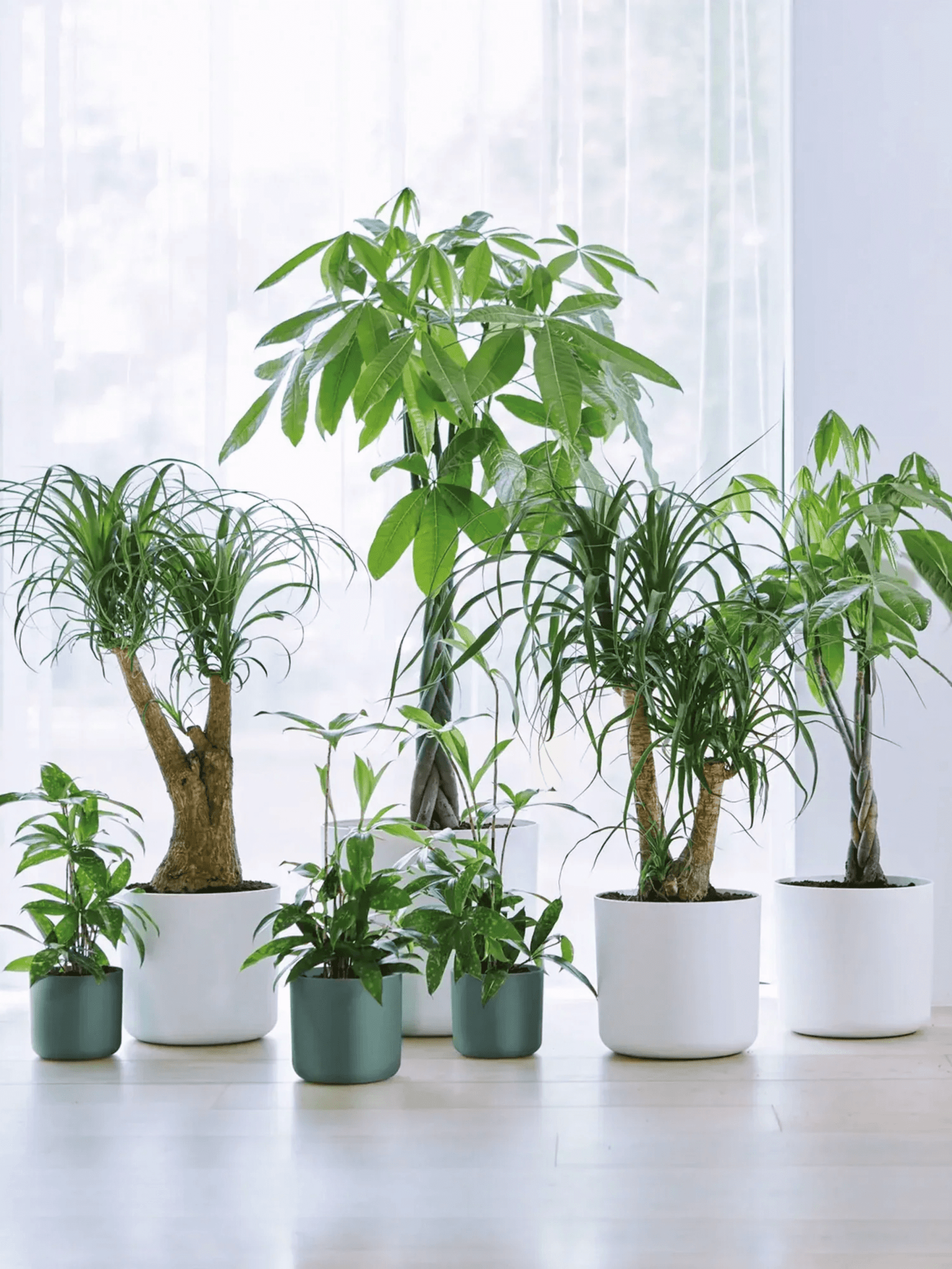 White Plant Pot- Elho Eco-Friendly Plastic Pots - in Multiple Sizes