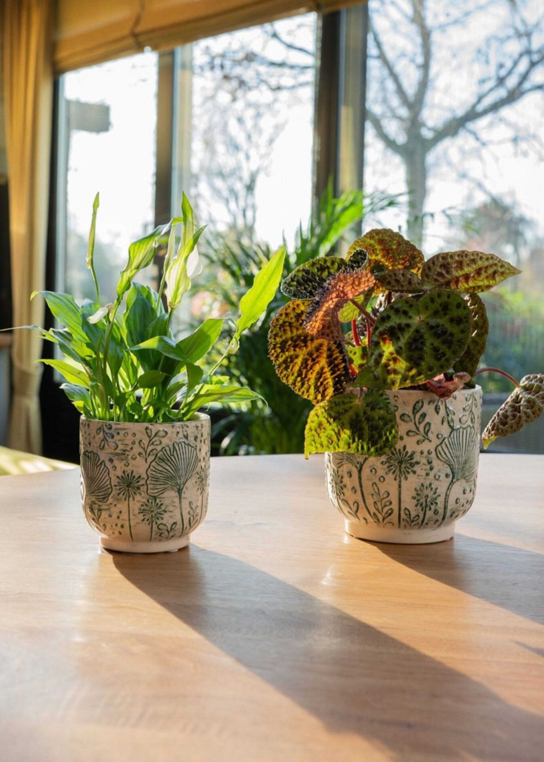 Emilia Ceramic Plant Pots, Green, House Plant Pot in Multiple Sizes
