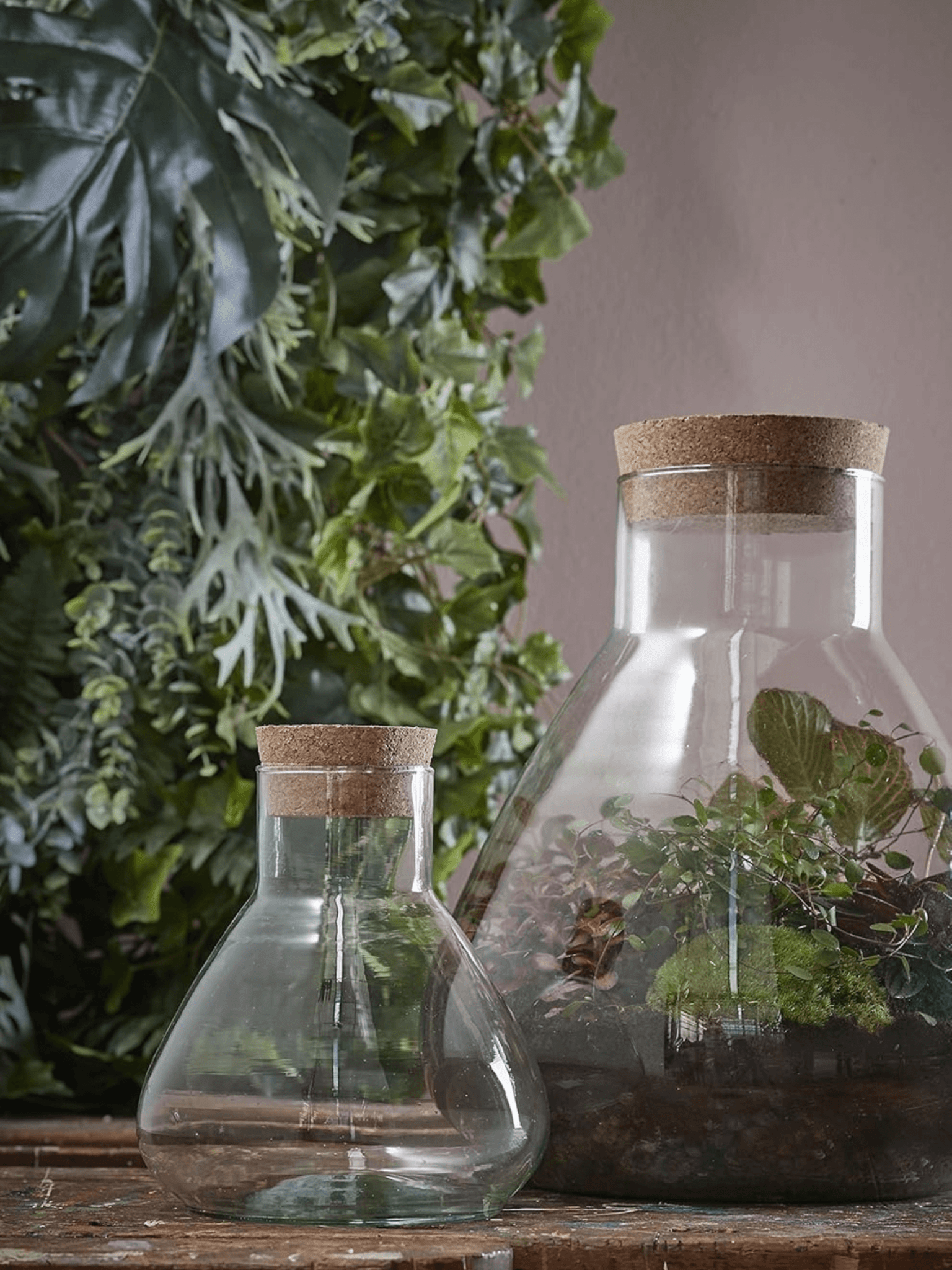 Emily_Terrarium_or_Storage_Jar_with_Cork_Lid_Recycled_Glass_H24_Botanical_Enthusiast