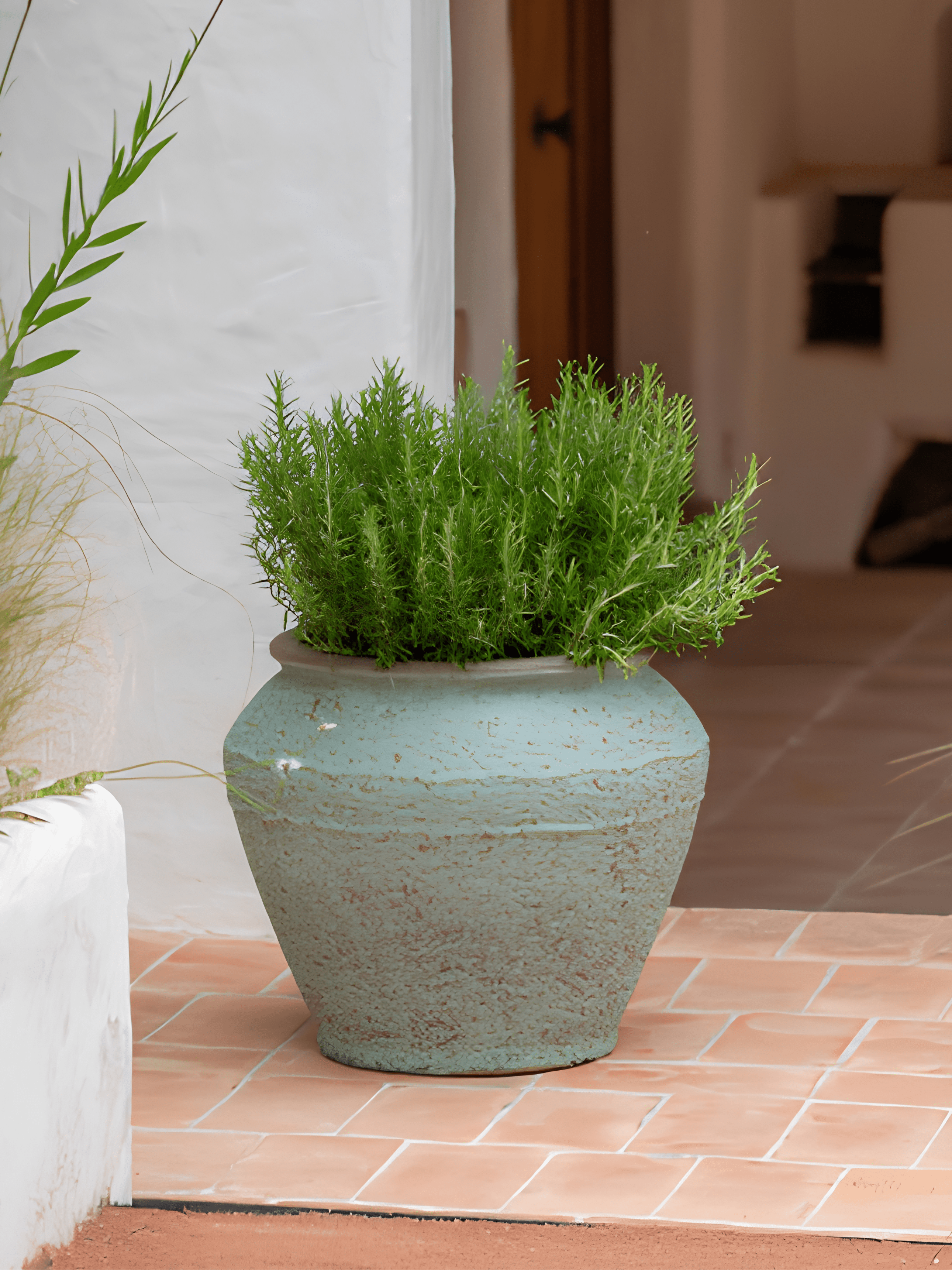 Eros Mediterranean Plant Pot – Rustic Green - Rebel Plants