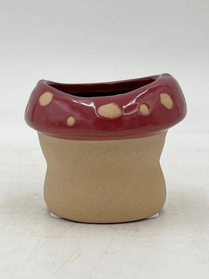 Funghi Pots, 7cm - 14cm House Plant Pot,