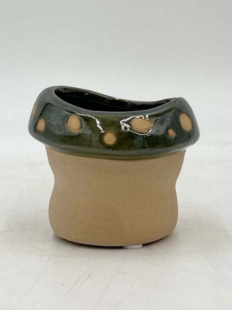 Funghi Pots, 7cm - 14cm House Plant Pot,