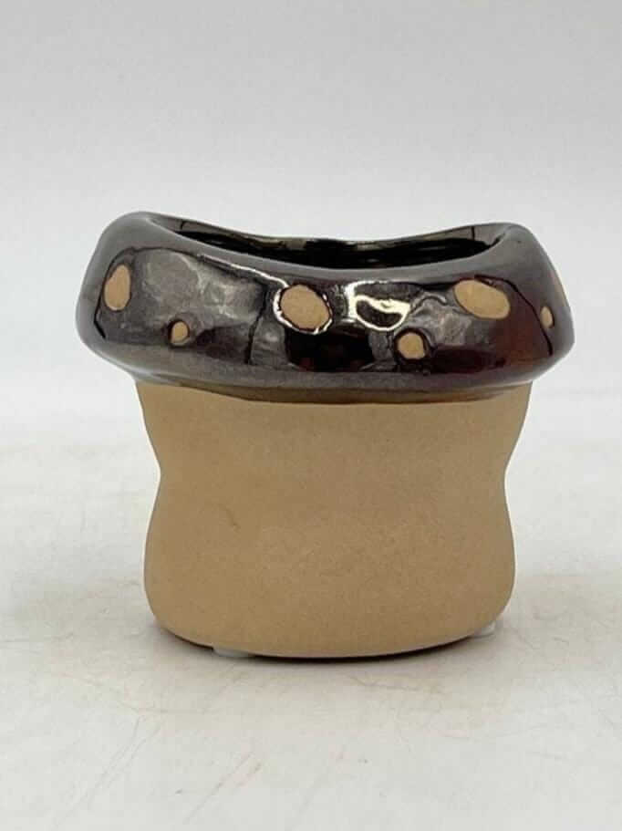 Funghi Pots, 7cm - 14cm House Plant Pot,