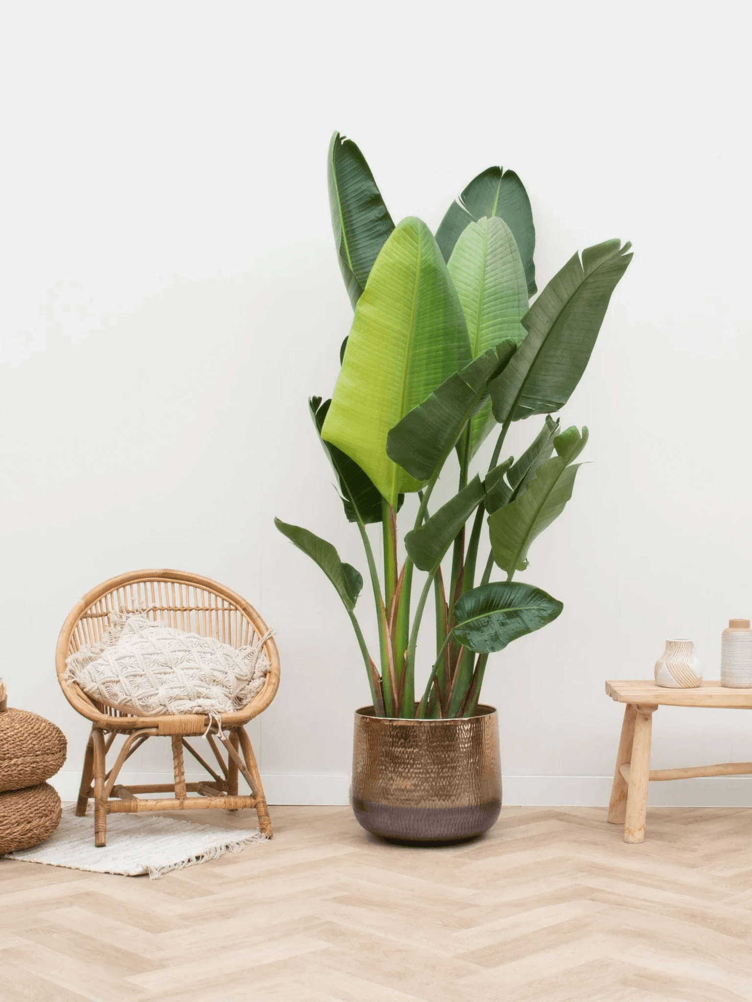 Gold Metal Plant Pot - Jenna - XL - 29cm-46cm