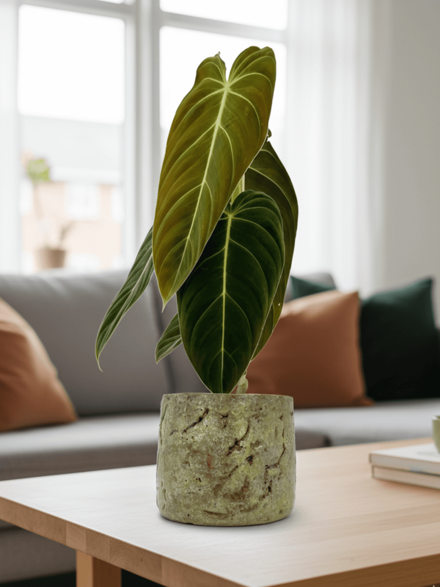 Green Ceramic Plant Pot - Masha - Multiple Sizes, Indoor Plant Pot